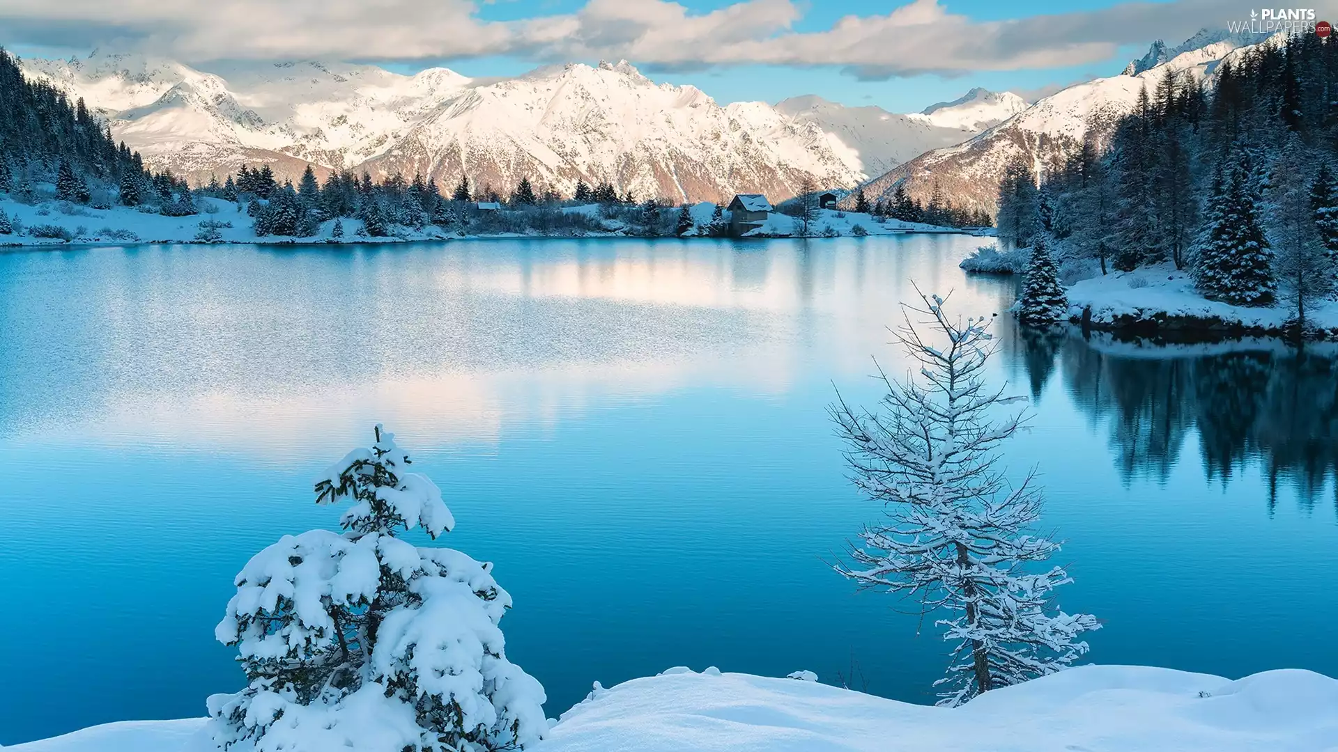 lake, winter, viewes, clouds, trees, Mountains