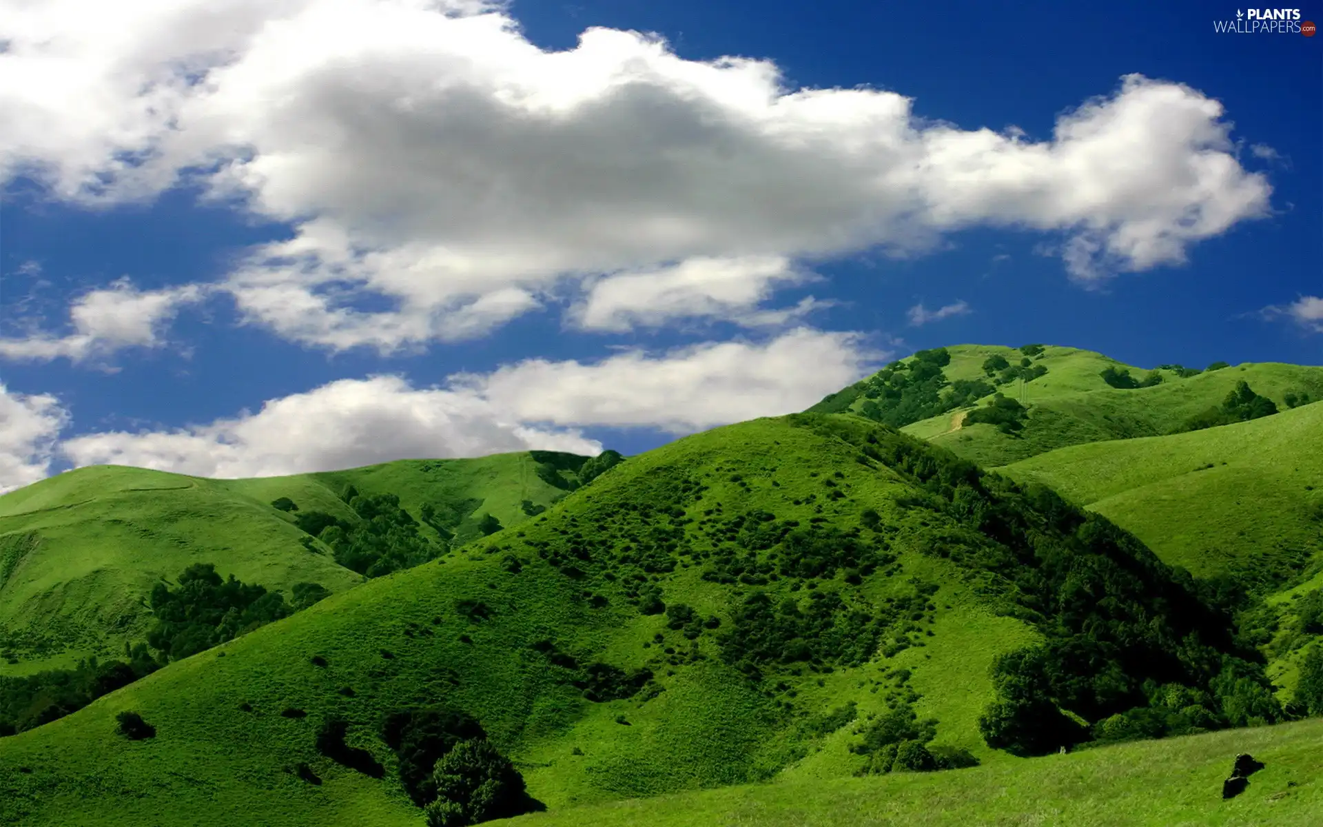 Mountains, viewes, clouds, trees