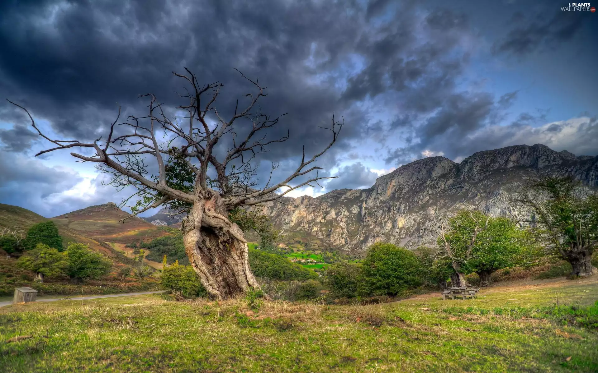 Mountains, trees, viewes, clouds