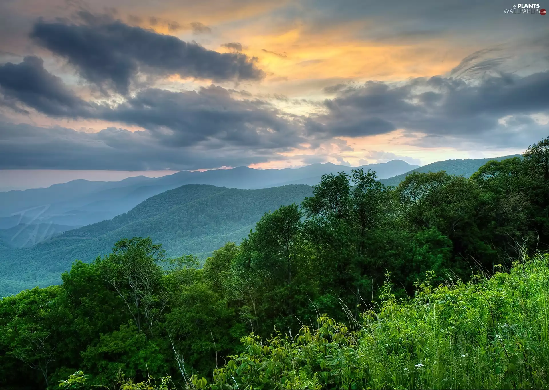 Mountains, trees, viewes, clouds