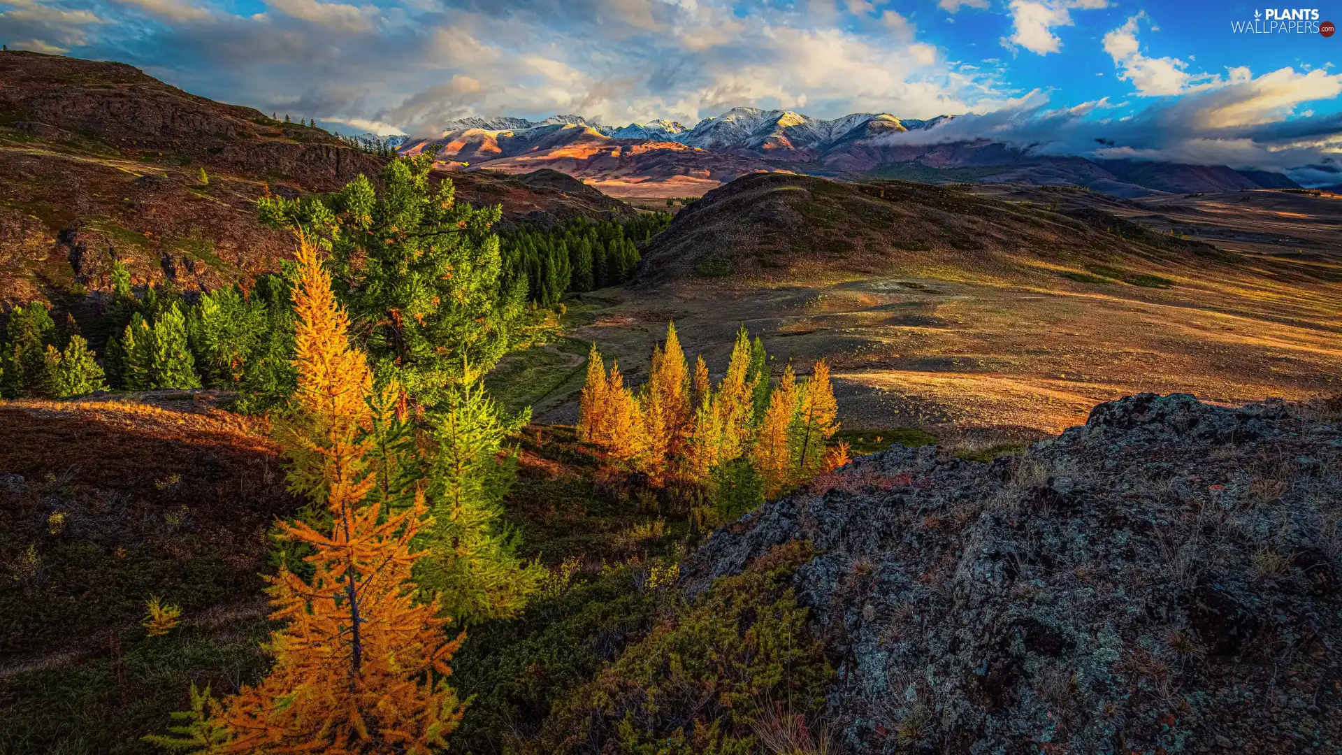 Valley, autumn, viewes, clouds, trees, Mountains