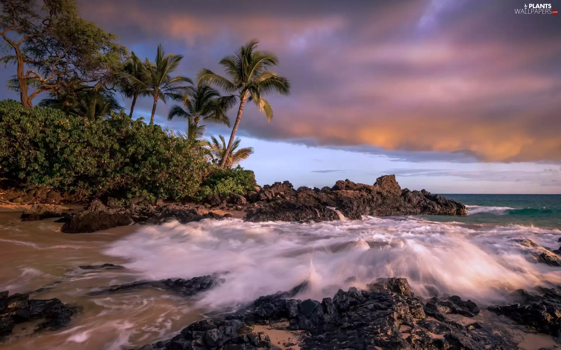 rocks, Beaches, sea, clouds, Waves, Palms