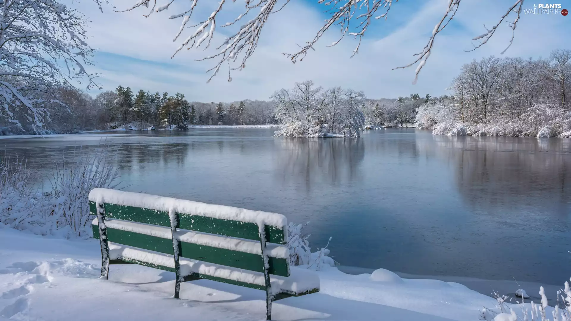 Pond - car, Park, viewes, Bench, winter, trees, clouds