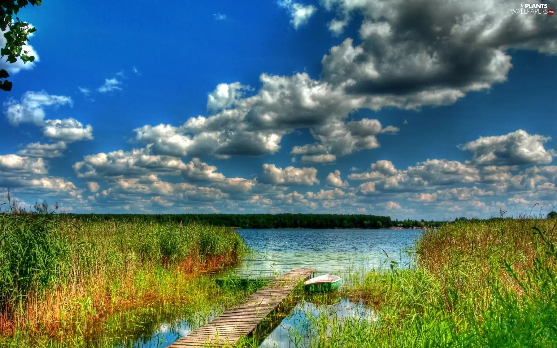 Boat, lake, forest, clouds, rushes, Platform