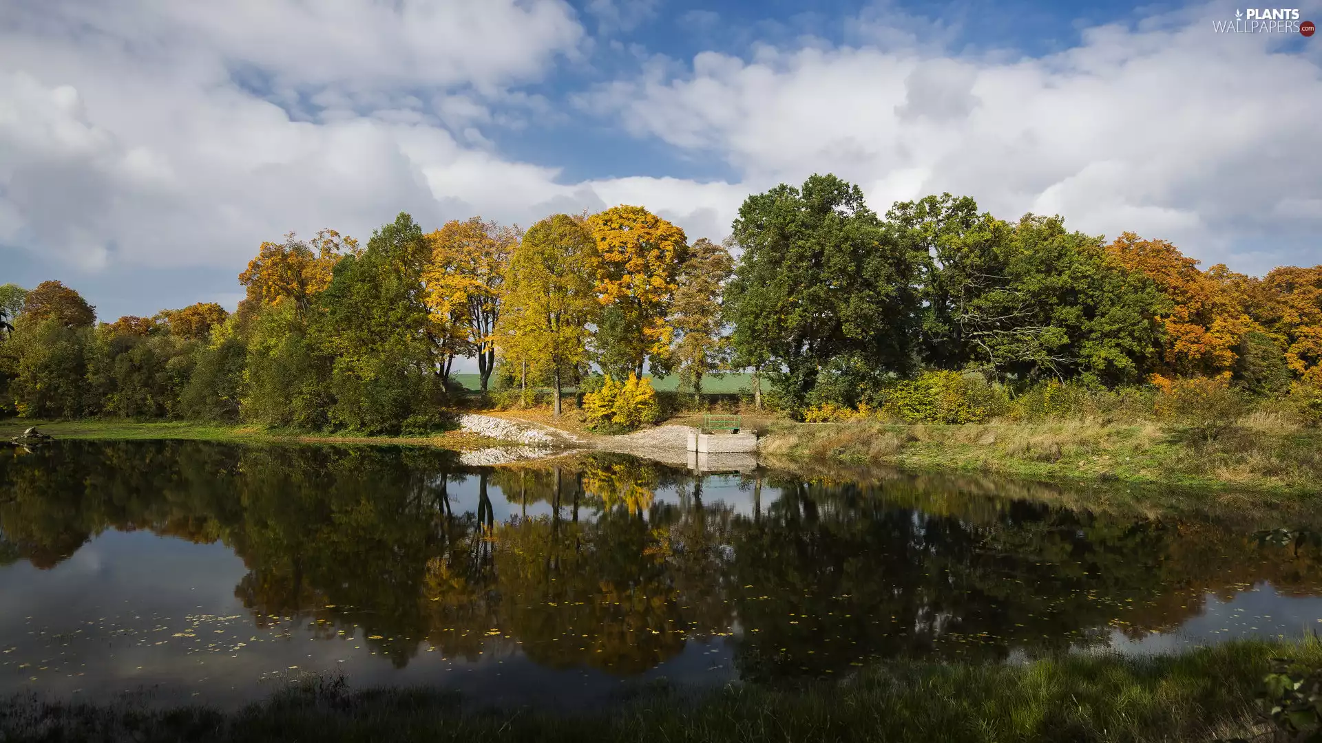 viewes, autumn, reflection, clouds, Pond - car, trees