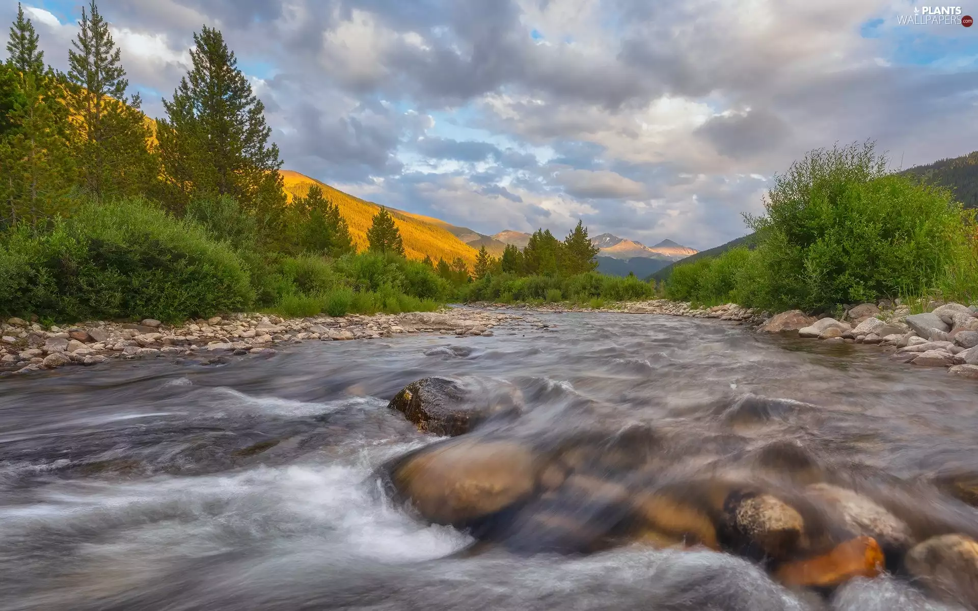 green ones, River, viewes, Stones, Mountains, trees, clouds