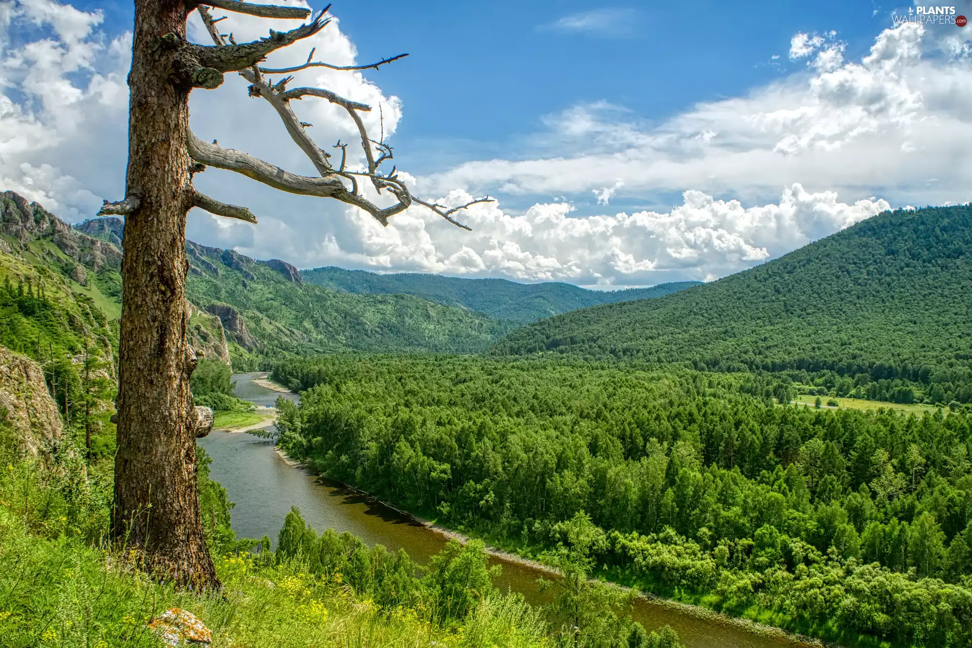 Mountains, clouds, River, forest, trees