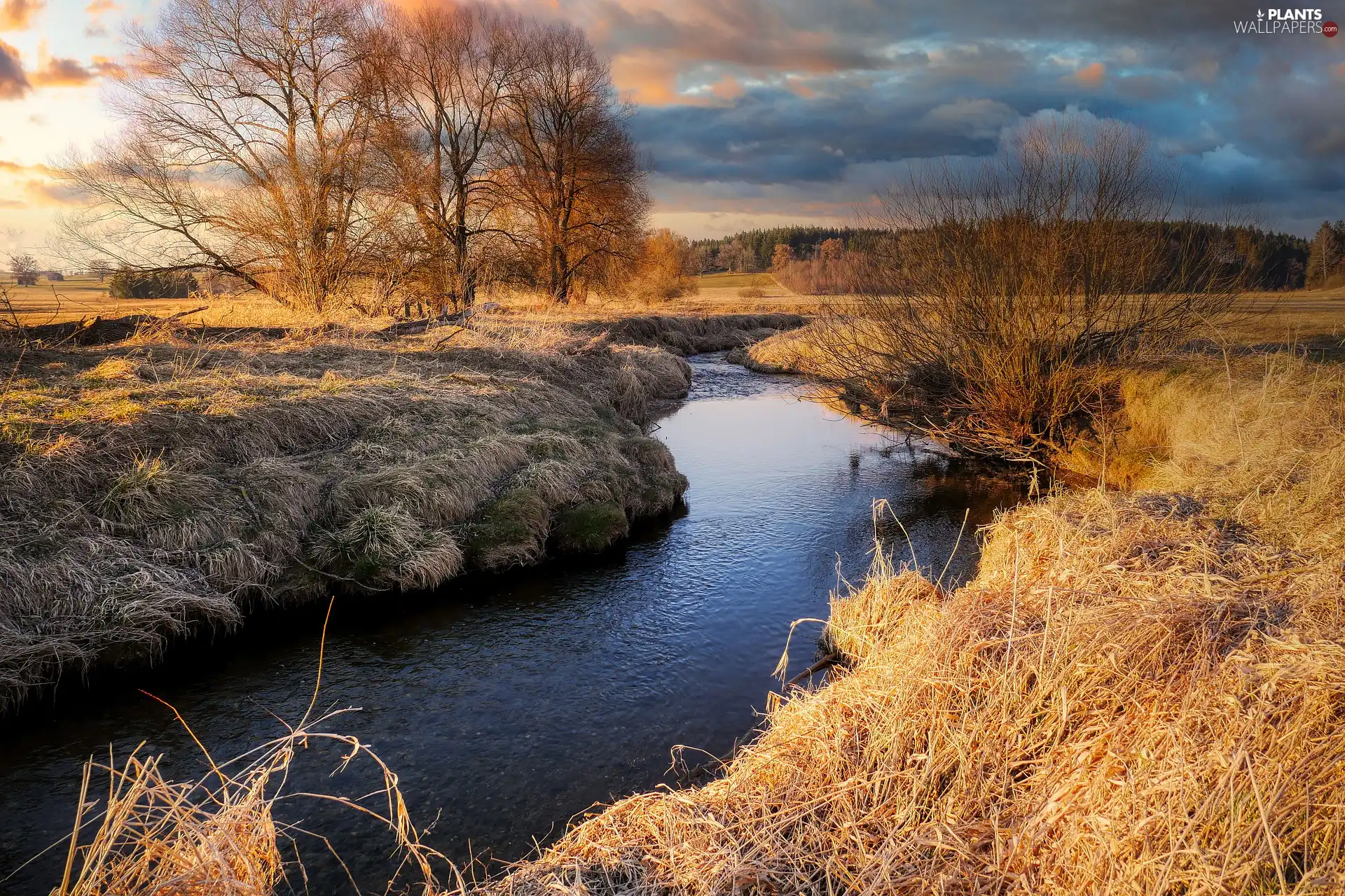 grass, autumn, viewes, clouds, trees, River