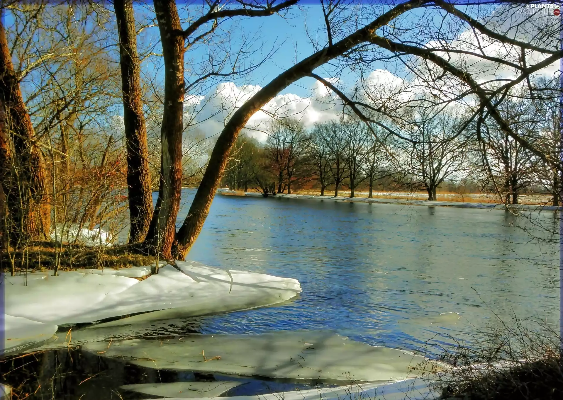 Nude, winter, viewes, clouds, trees, River