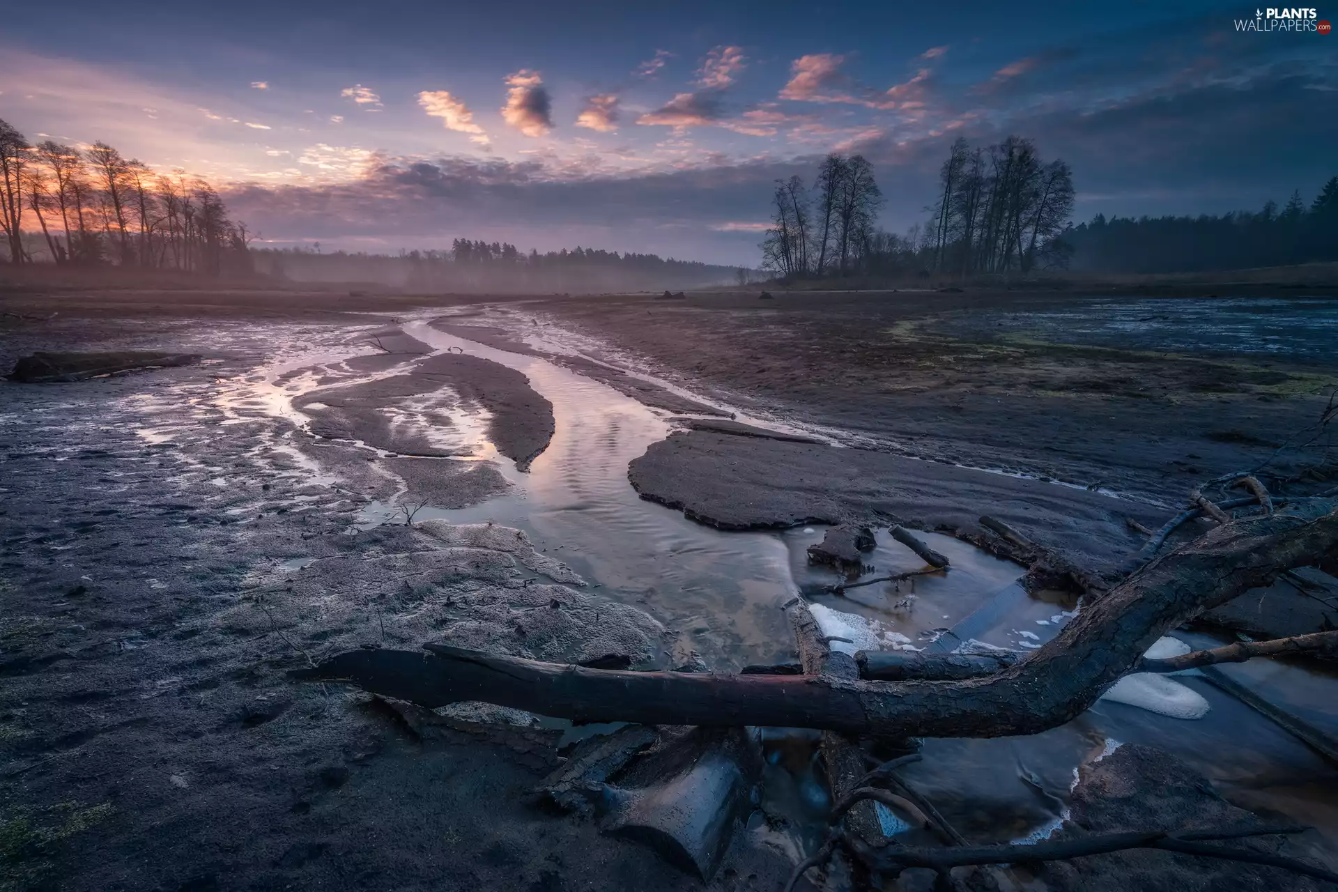 Sky, viewes, River, clouds, trees, Fog, pool