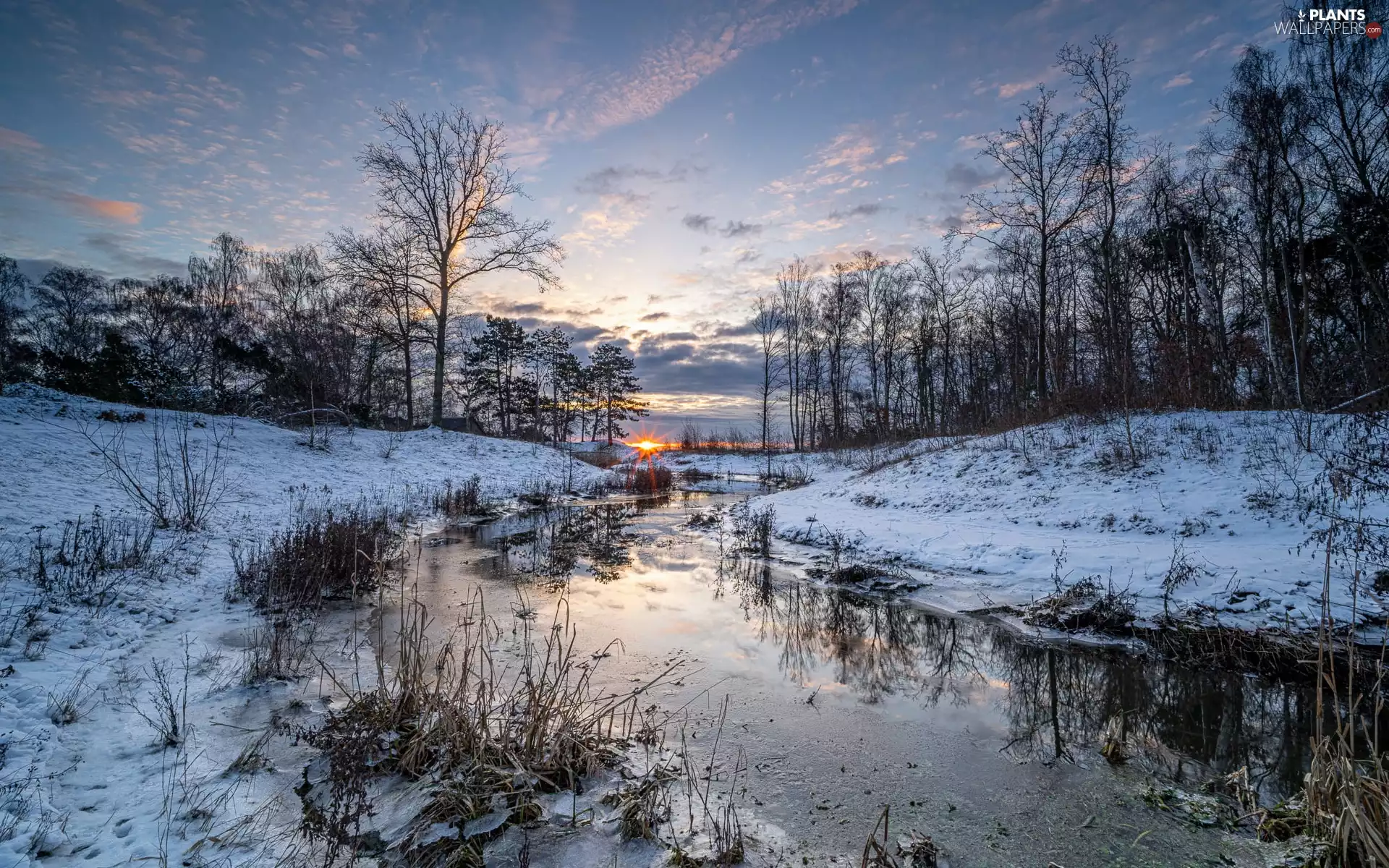 stream, winter, viewes, clouds, trees, River