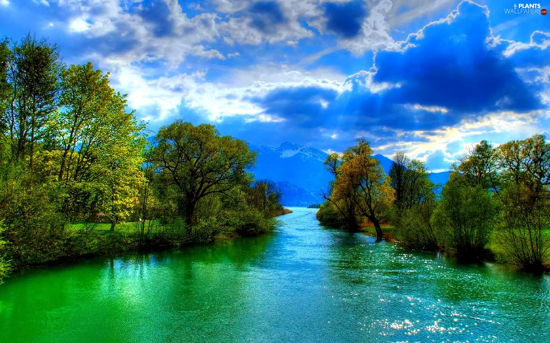 River, trees, viewes, clouds