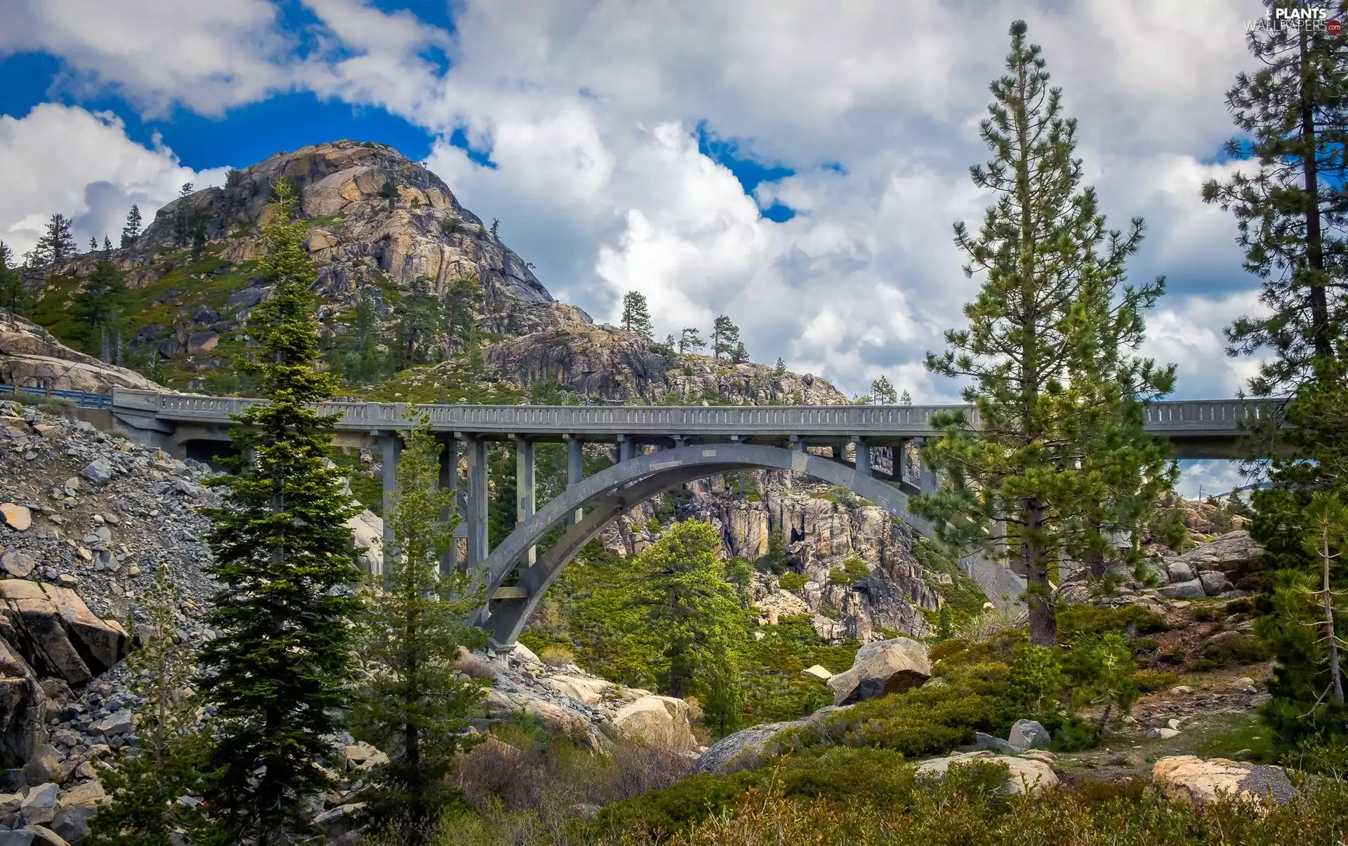 bridge, Mountains, Stones, clouds, Spruces, rocks