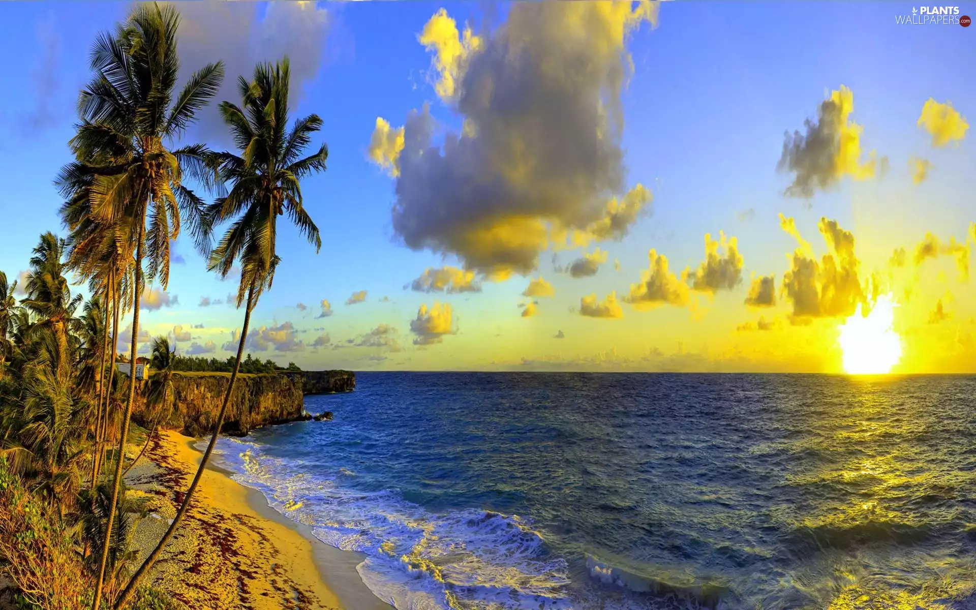 Great Sunsets, Barbados, clouds, Palms, sea