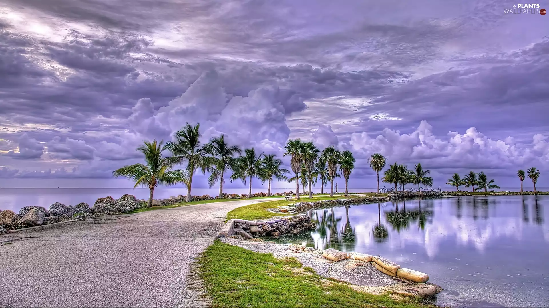 Palms, clouds, sea, Coast, Way