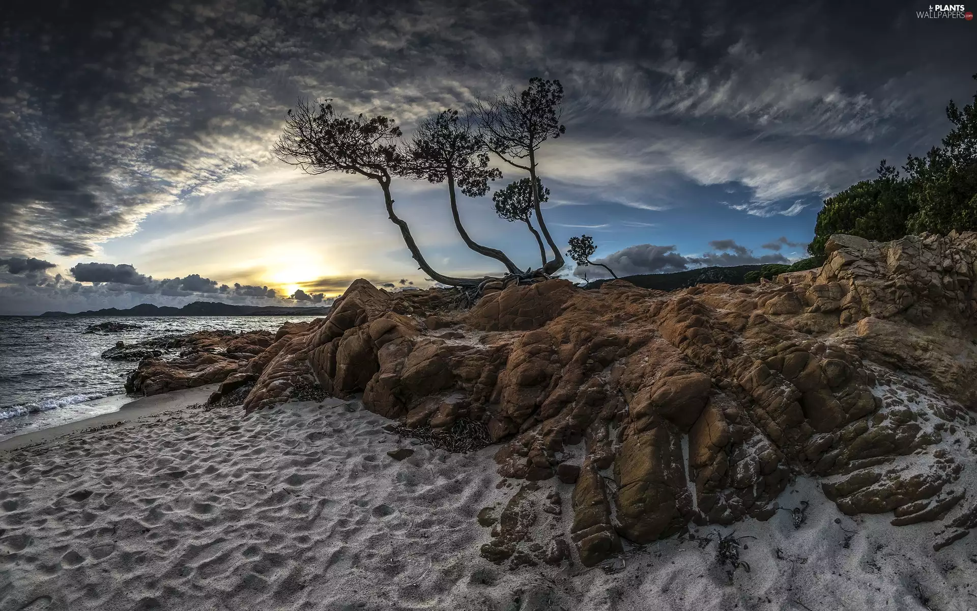 Sunrise, clouds, Sky, trees, sea