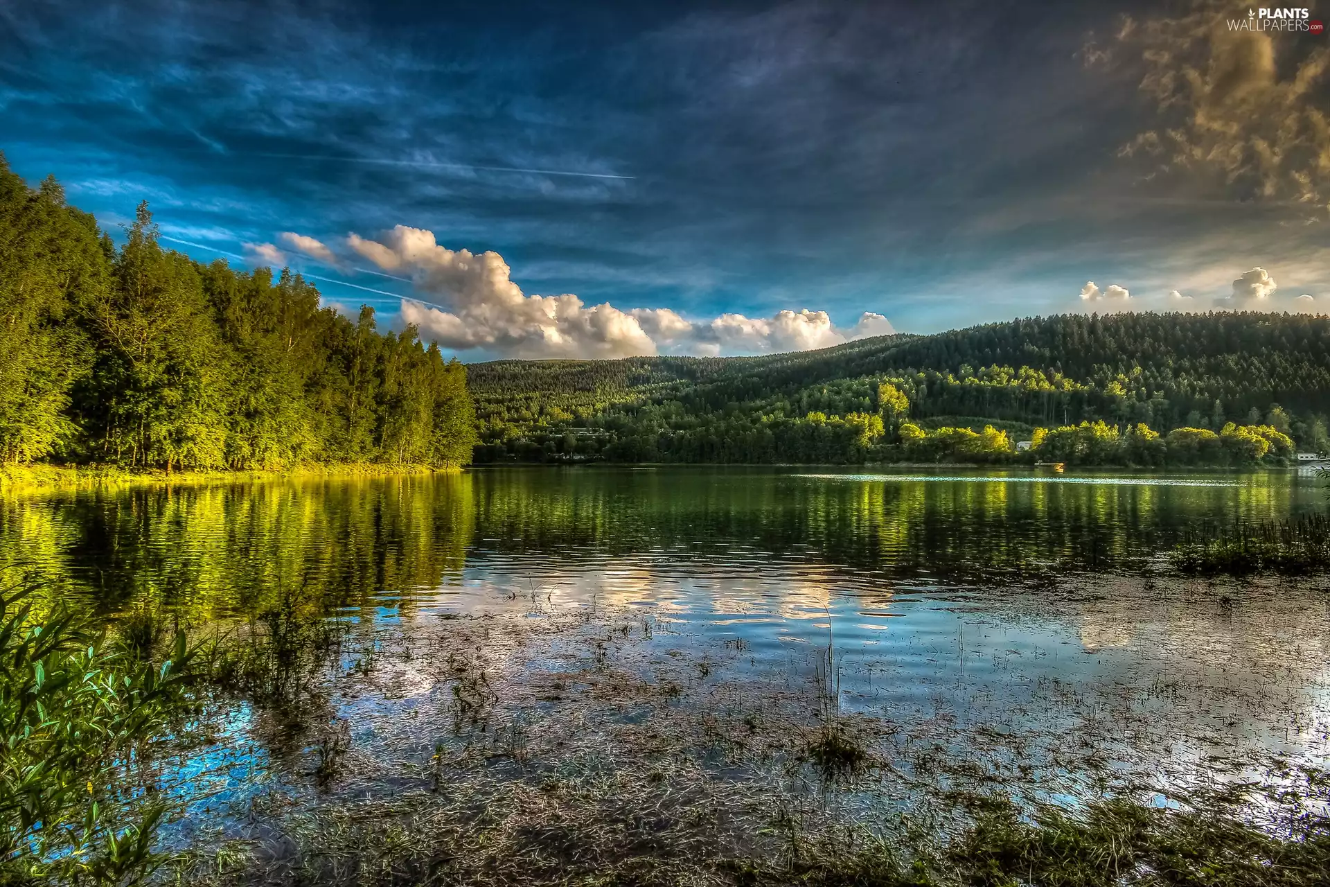 viewes, woods, Sky, trees, lake, The Hills, clouds