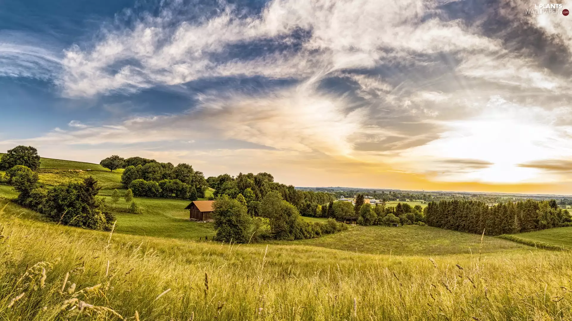 trees, Meadow, Sunrise, Houses, The Hills, viewes, clouds