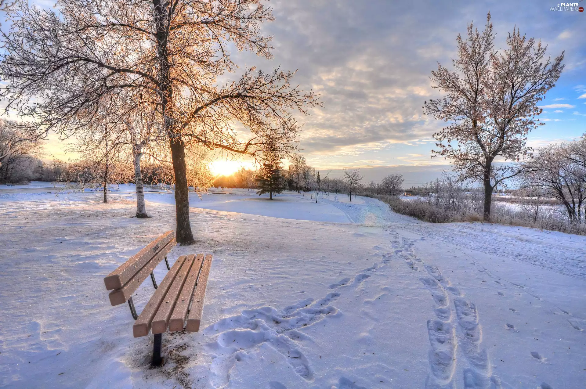 Bench, winter, viewes, clouds, trees, Sunrise