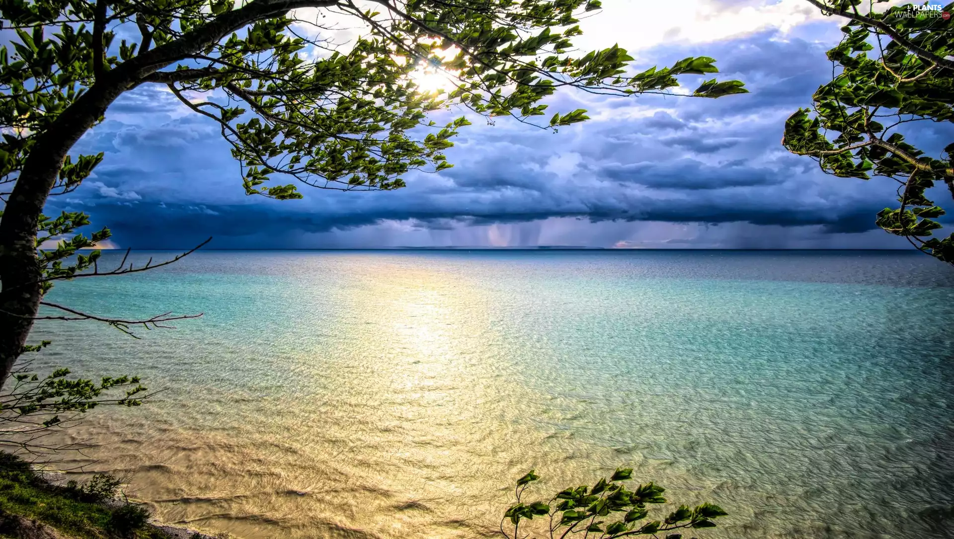 clouds, The United States, trees, Great Sunsets, Lake Michigan