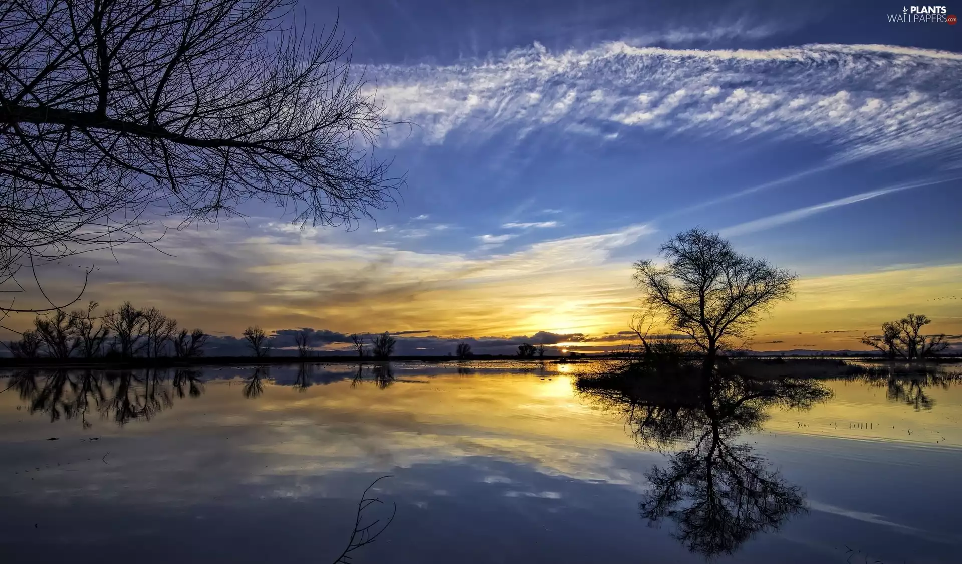 viewes, Great Sunsets, Sky, trees, lake, reflection, clouds
