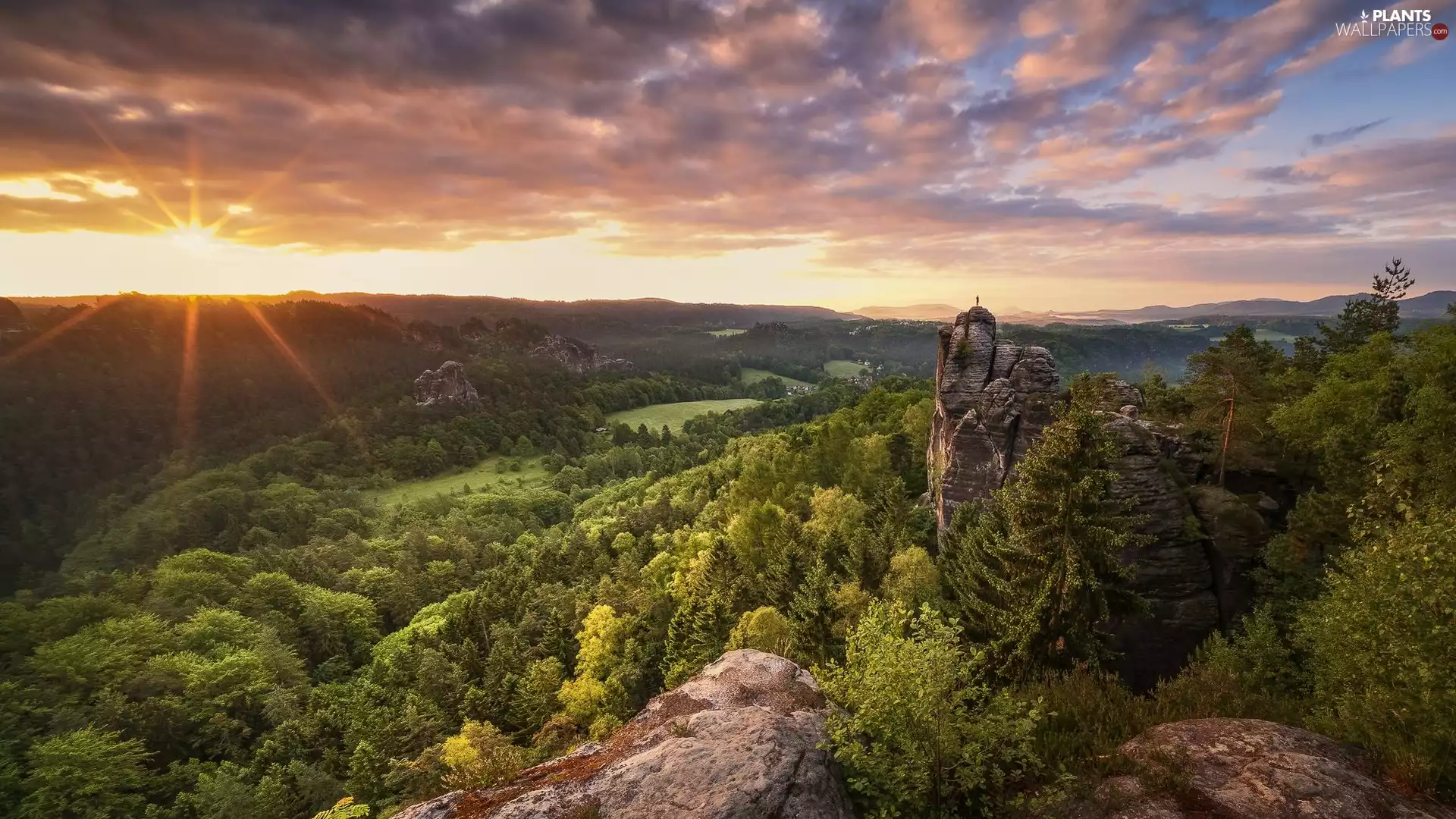 Děčínská vrchovina, viewes, rocks, Saxony, rays of the Sun, trees, forest, Germany, Saxon Switzerland National Park, clouds