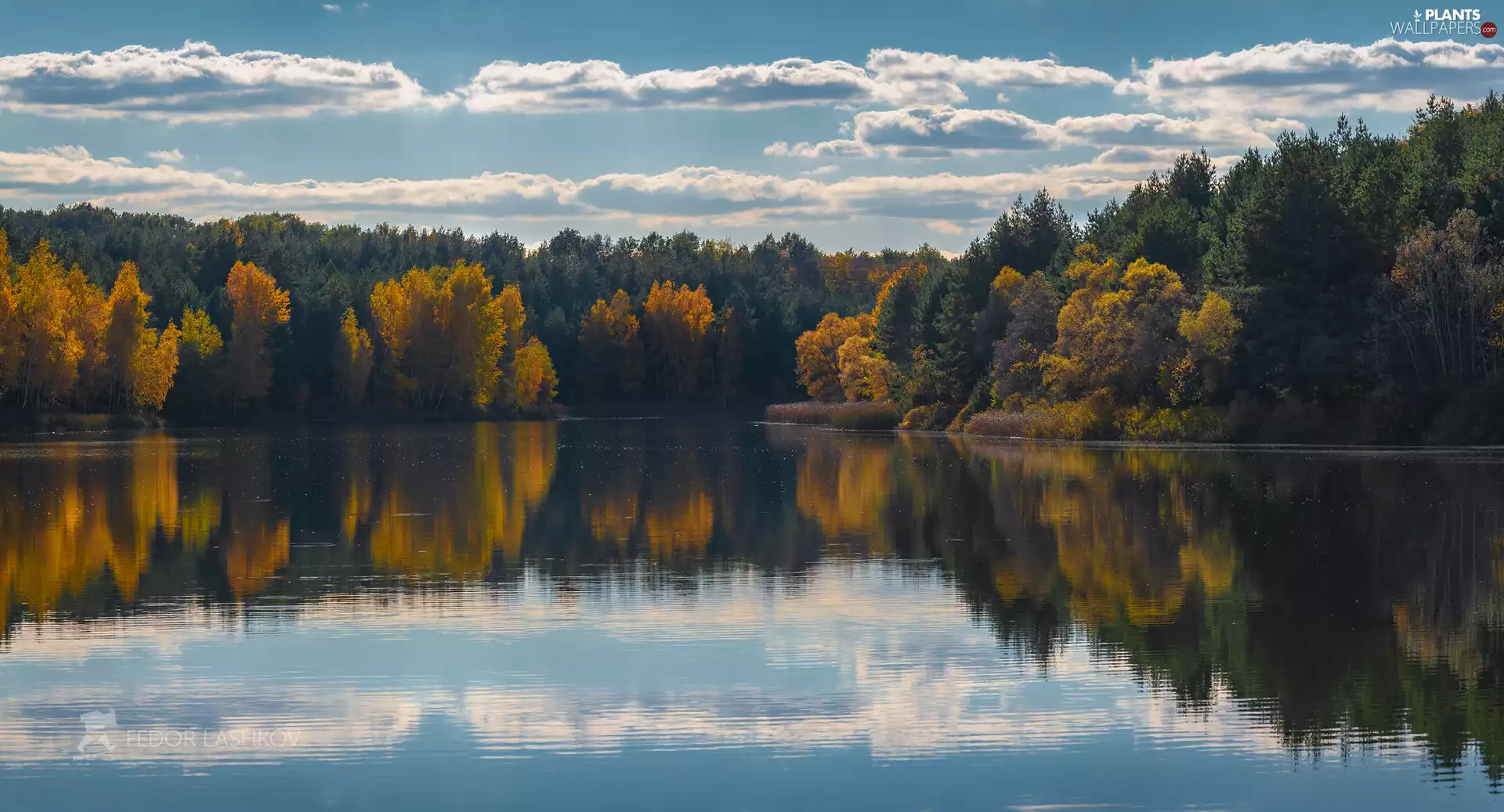 viewes, lake, autumn, clouds, forest, trees