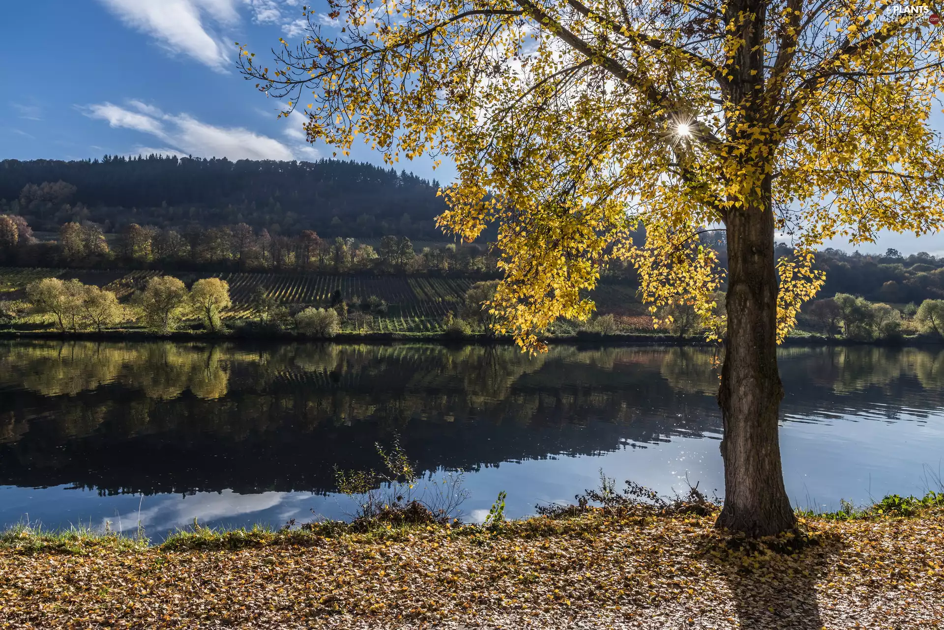 viewes, River, autumn, clouds, Hill, trees