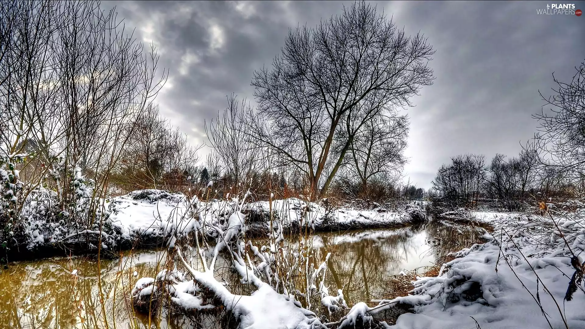 viewes, winter, dark, clouds, River, trees