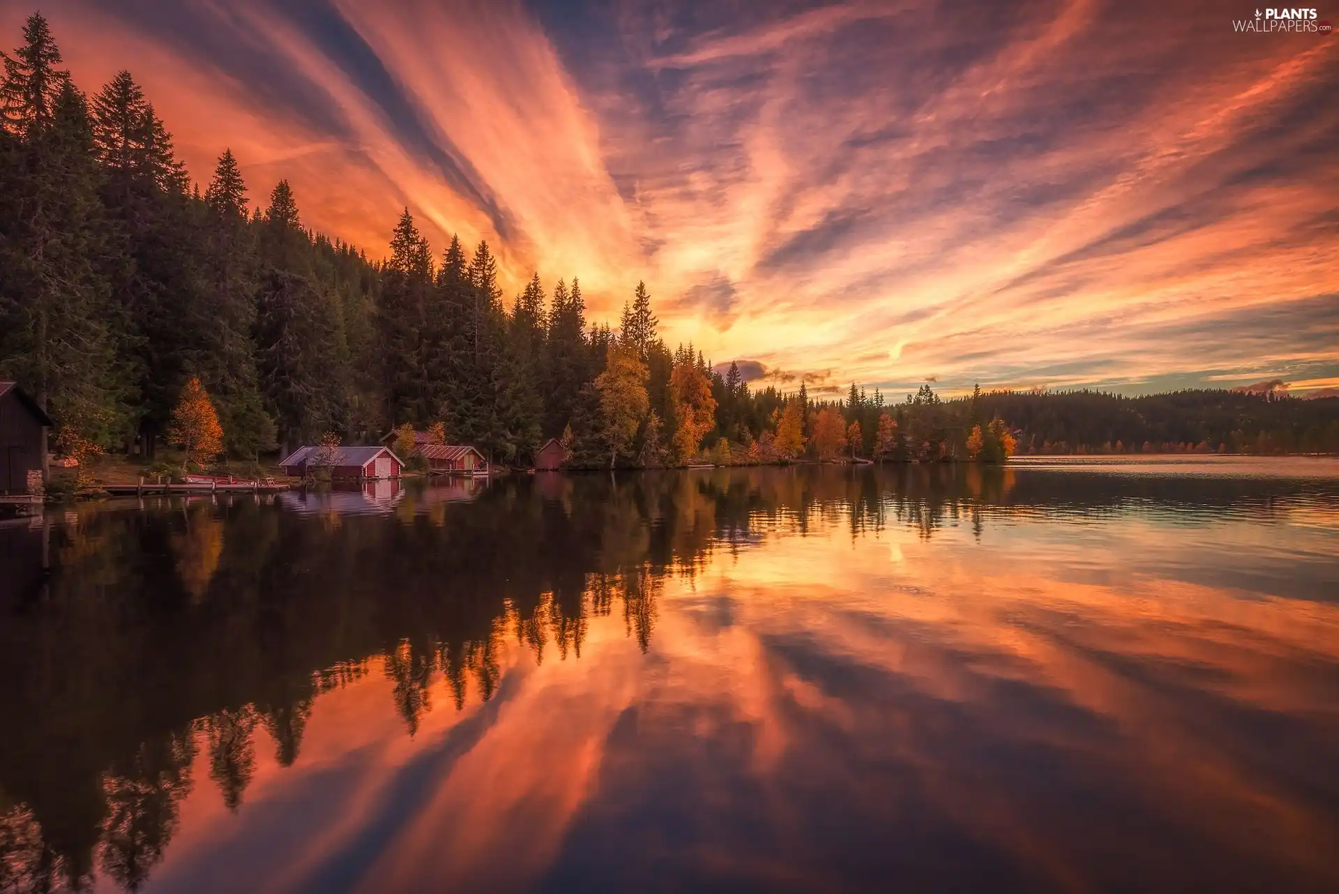Ringerike, Norway, clouds, lake, Houses, reflection, trees, viewes, forest
