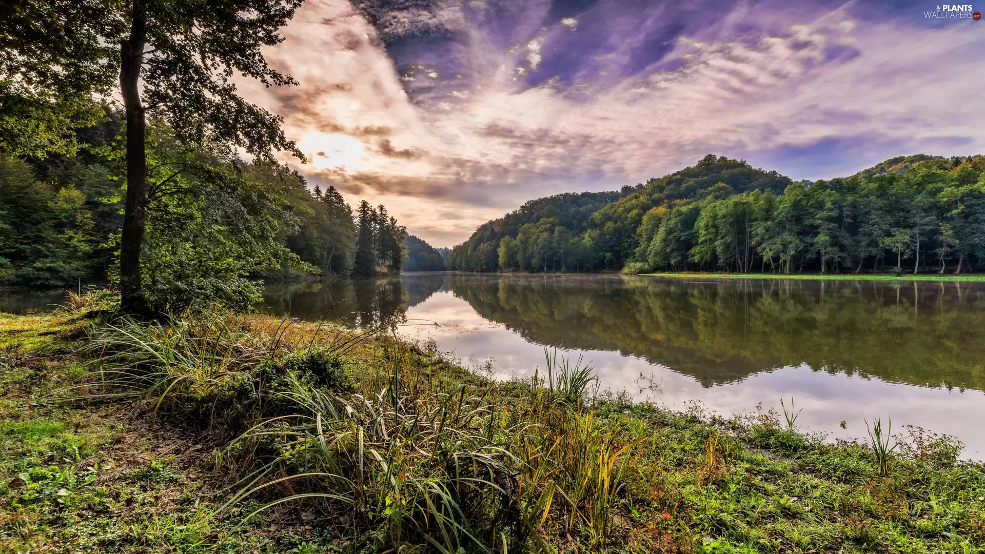 viewes, River, grass, clouds, reflection, trees