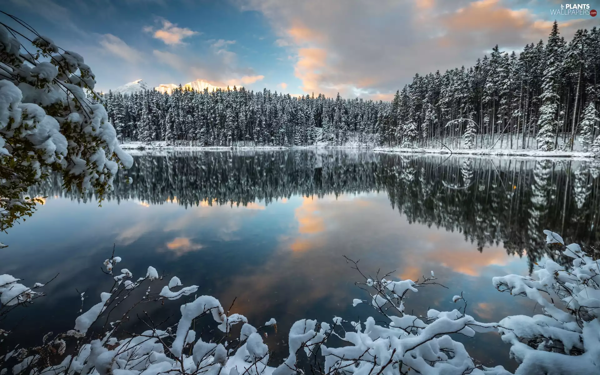 viewes, winter, lake, clouds, forest, trees