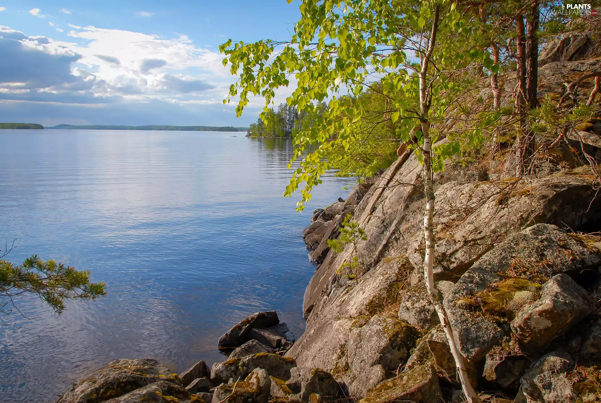 rocks, clouds, trees, viewes, lake
