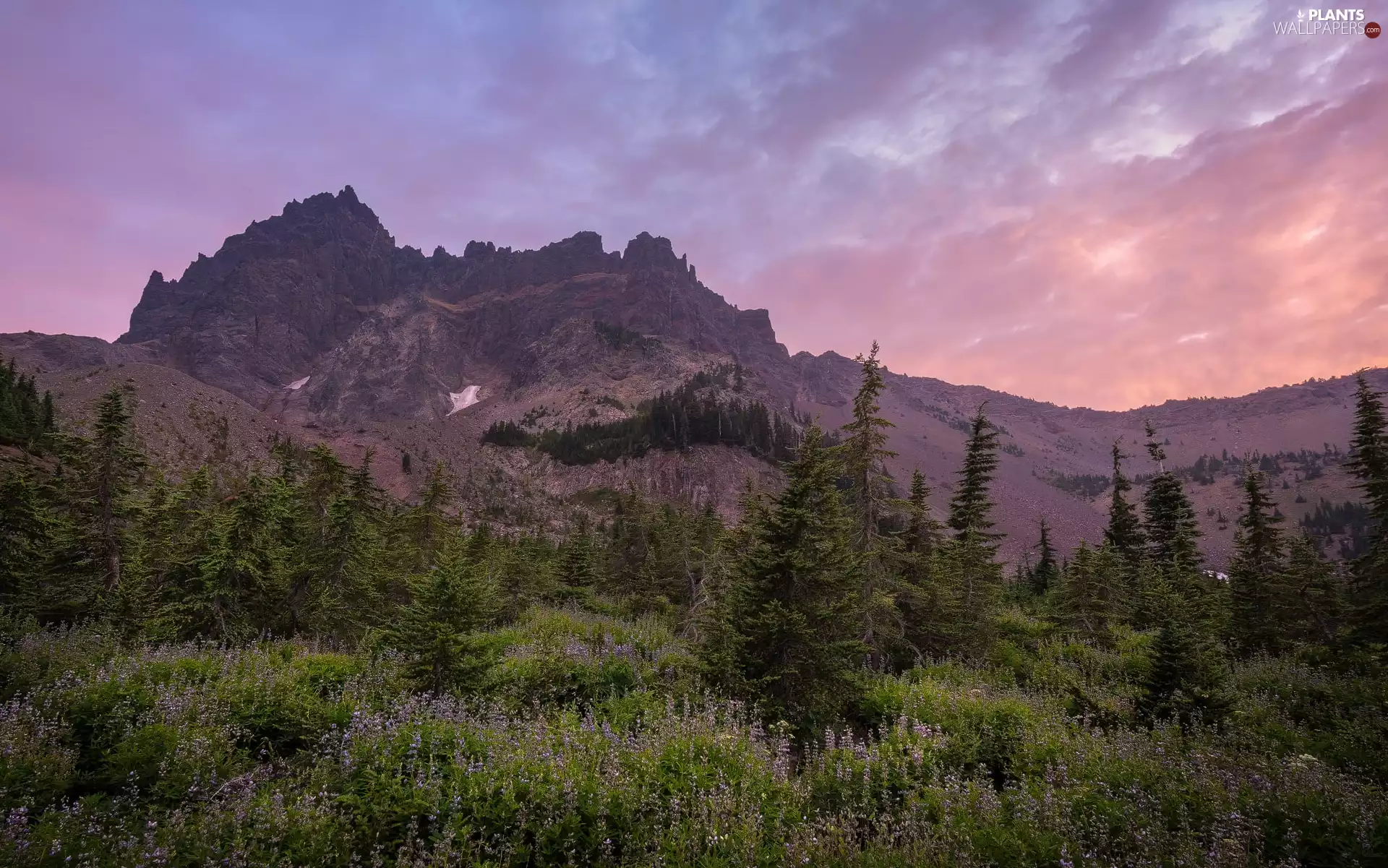 VEGETATION, clouds, trees, viewes, Mountains