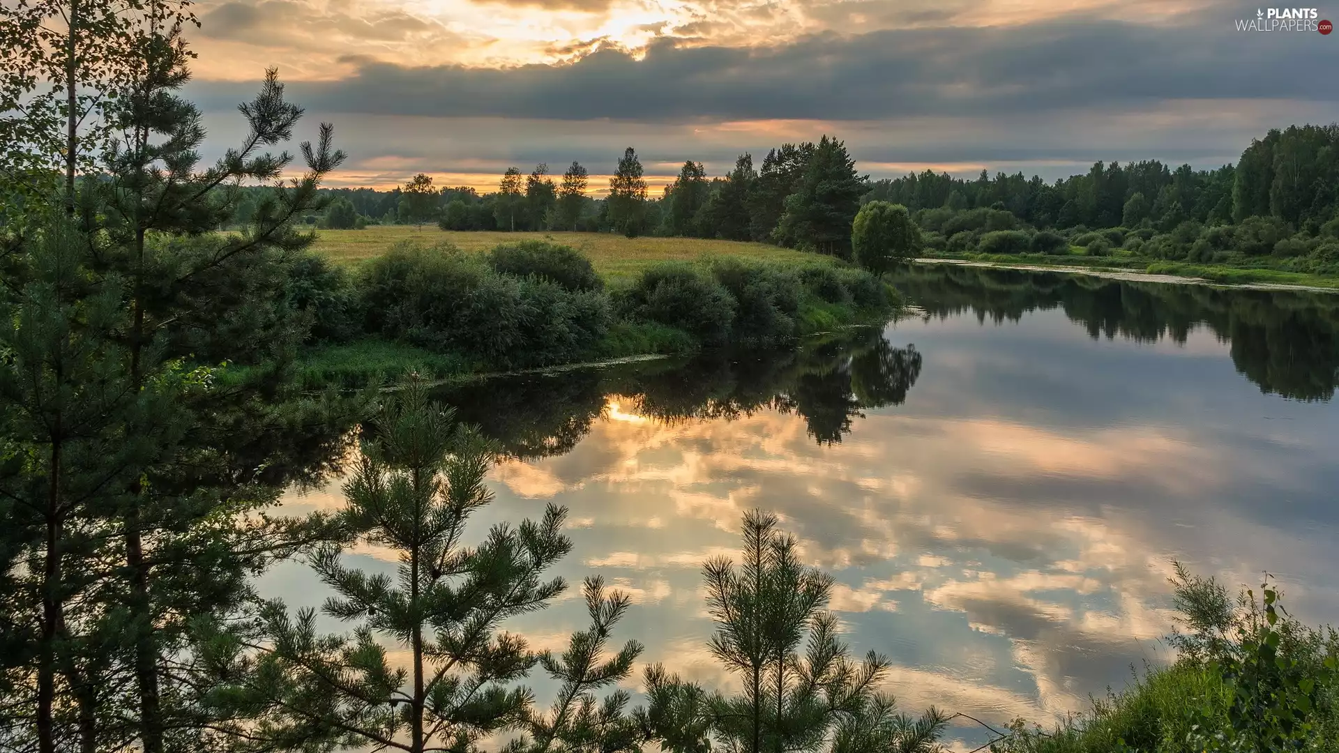 Bush, clouds, trees, viewes, River