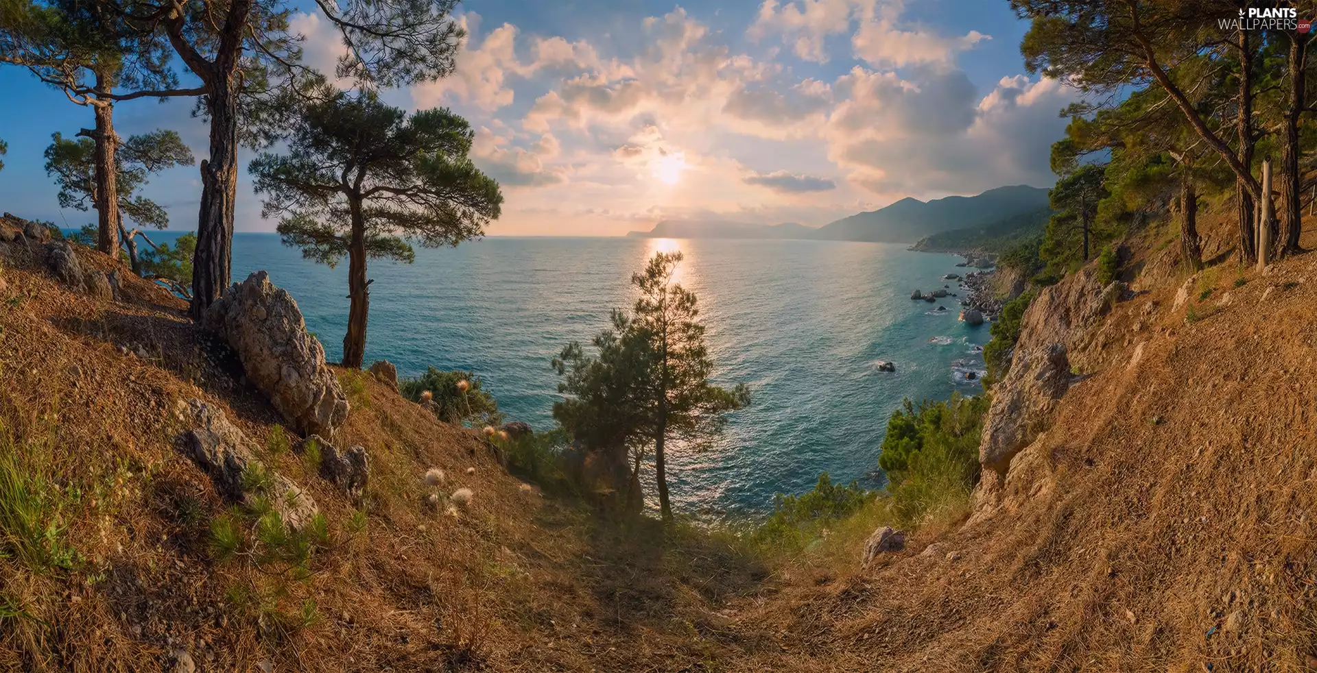 viewes, sea, Sunrise, clouds, rocks, trees