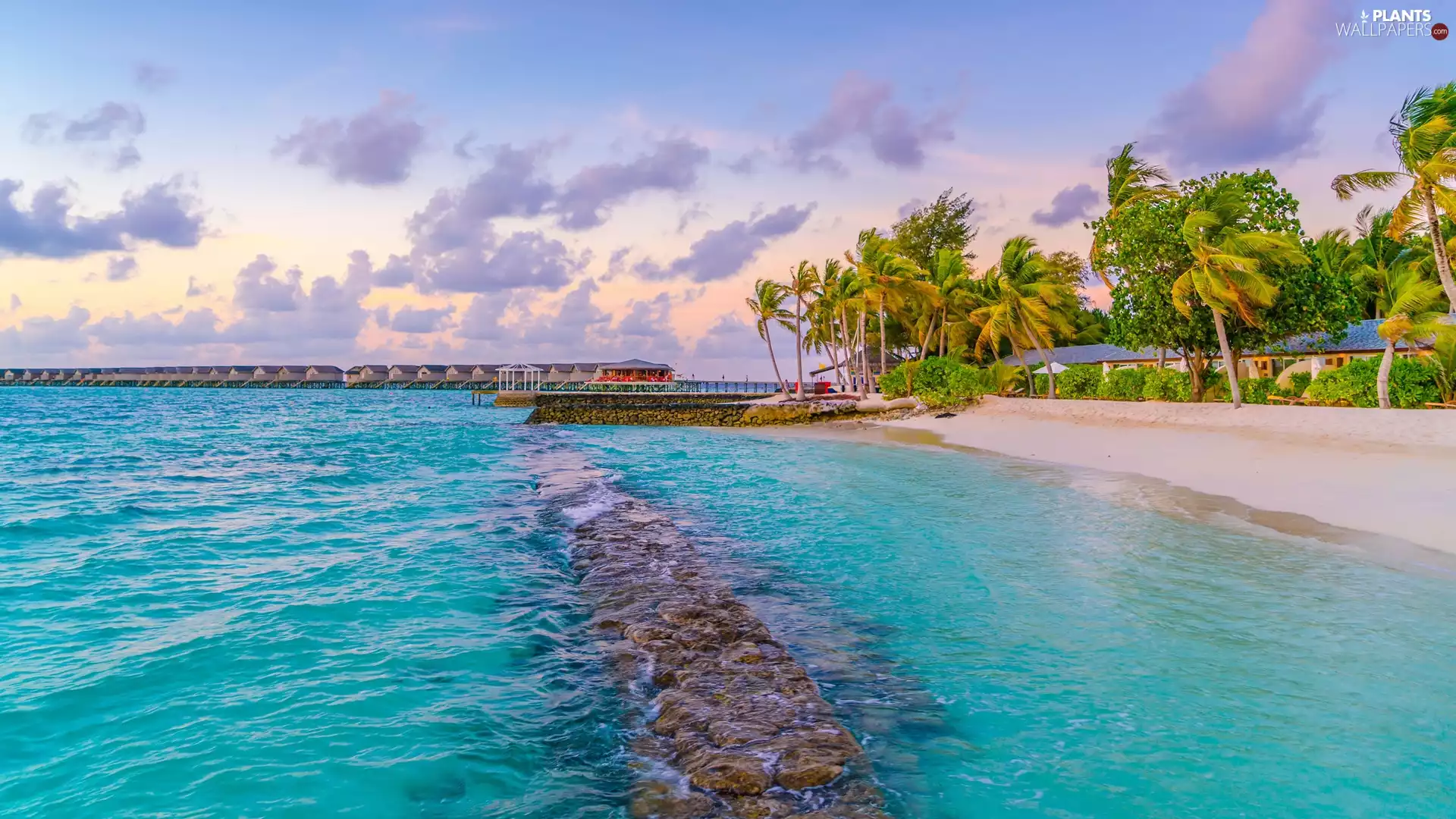 Houses, clouds, Tropical, Palms, sea