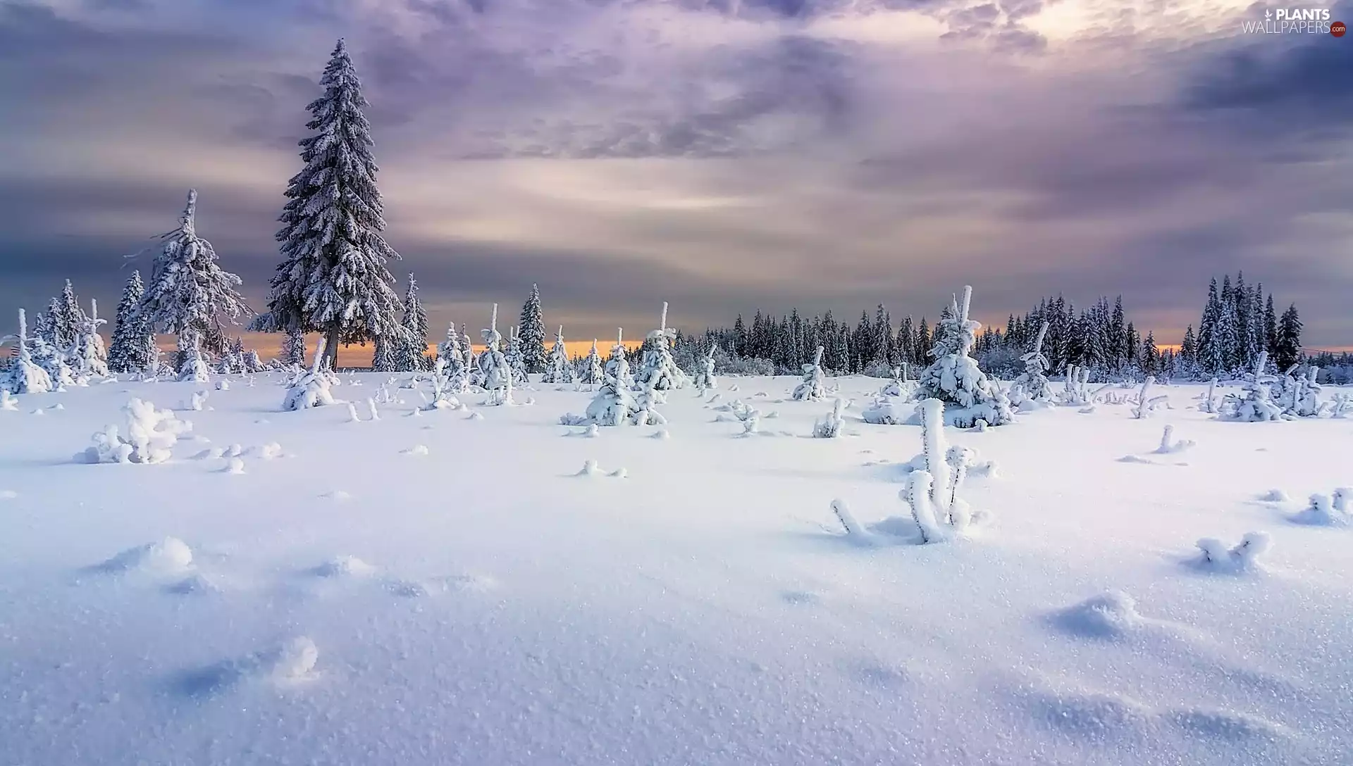 winter, Russia, viewes, clouds, trees, Ural