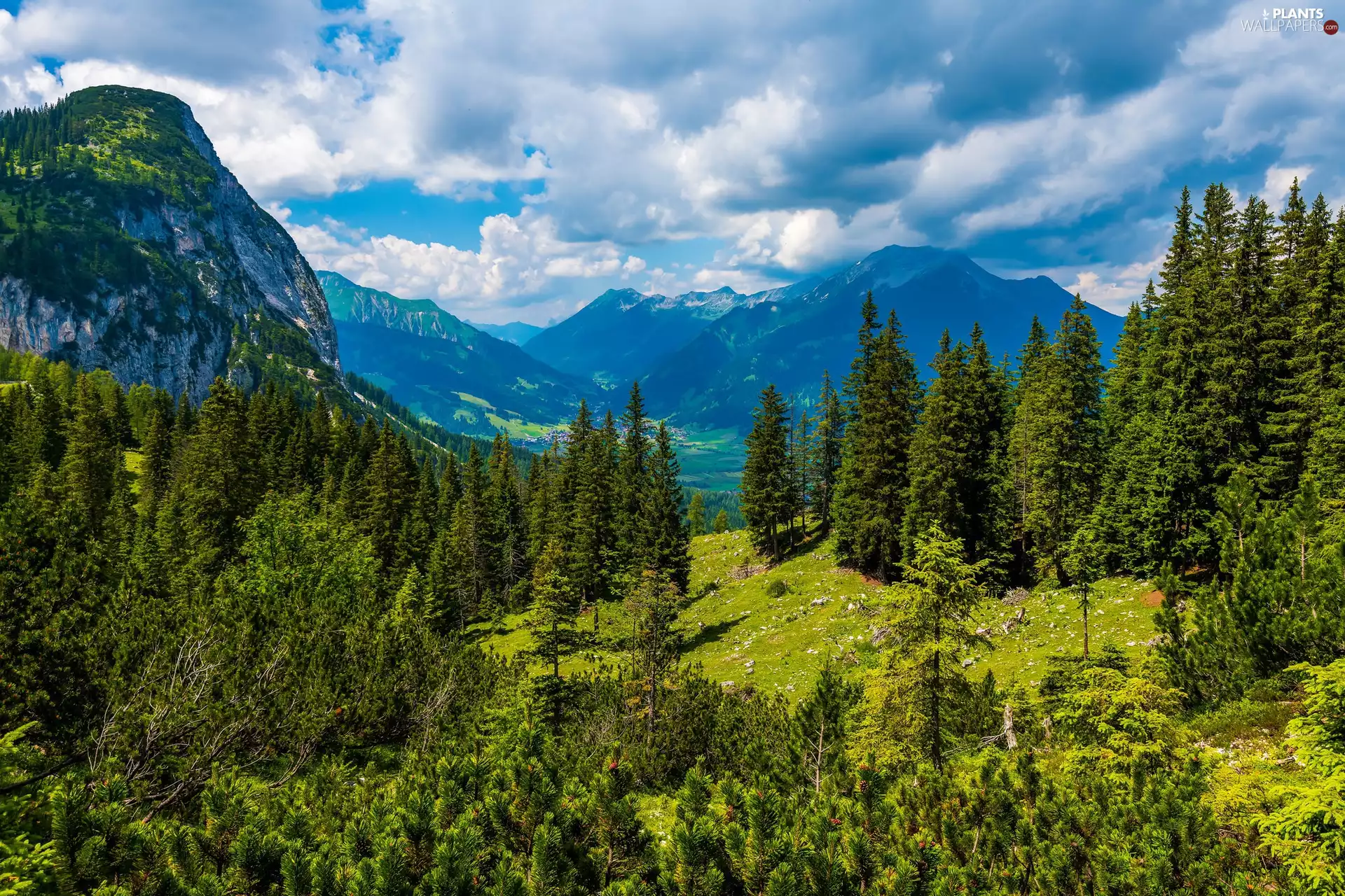 viewes, clouds, Valley, trees, Mountains