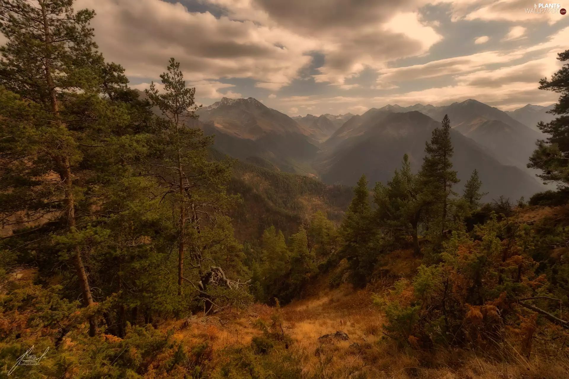 woods, Mountains, viewes, clouds, trees, Valley