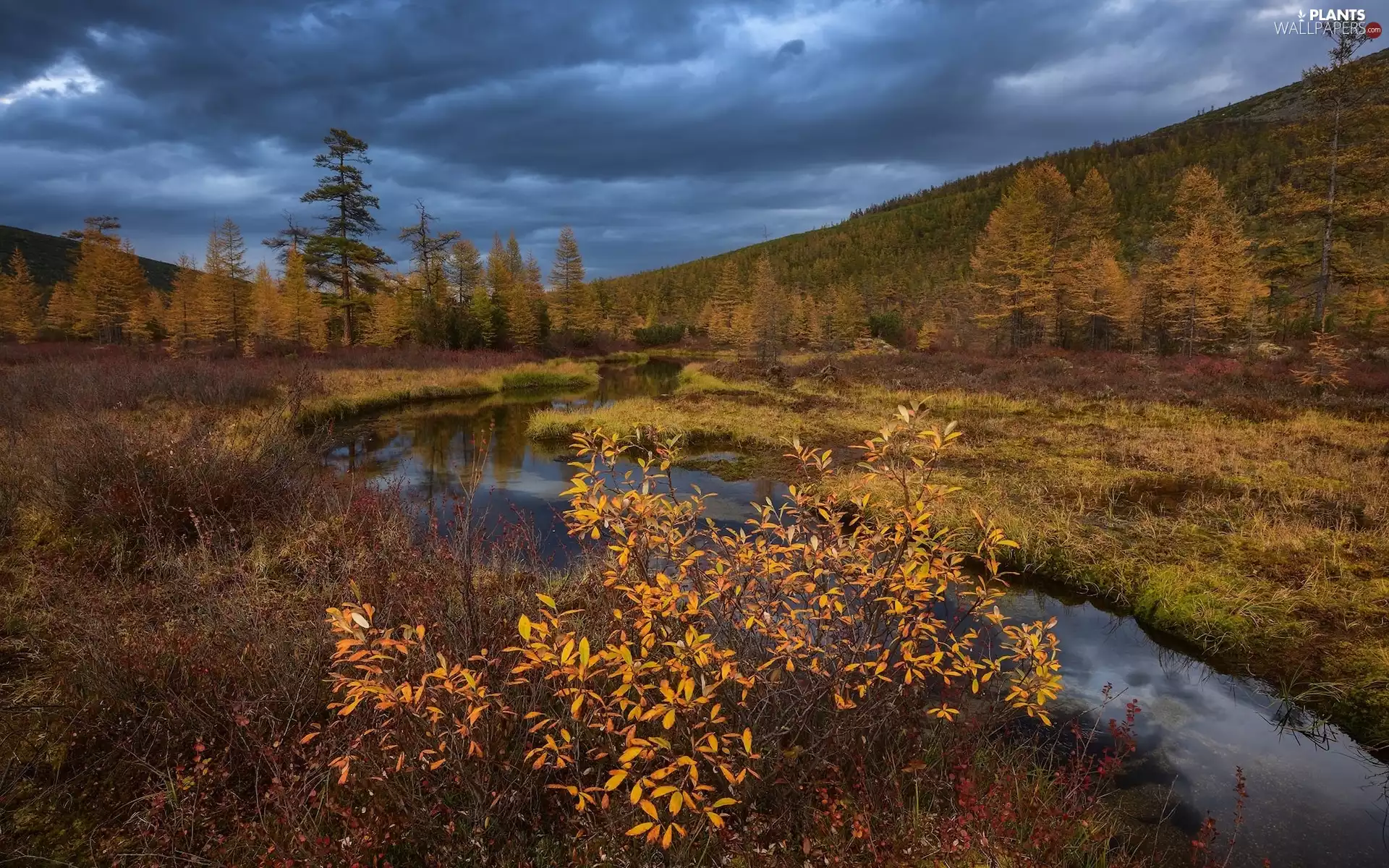 trees, River, VEGETATION, The Hills, autumn, viewes, clouds