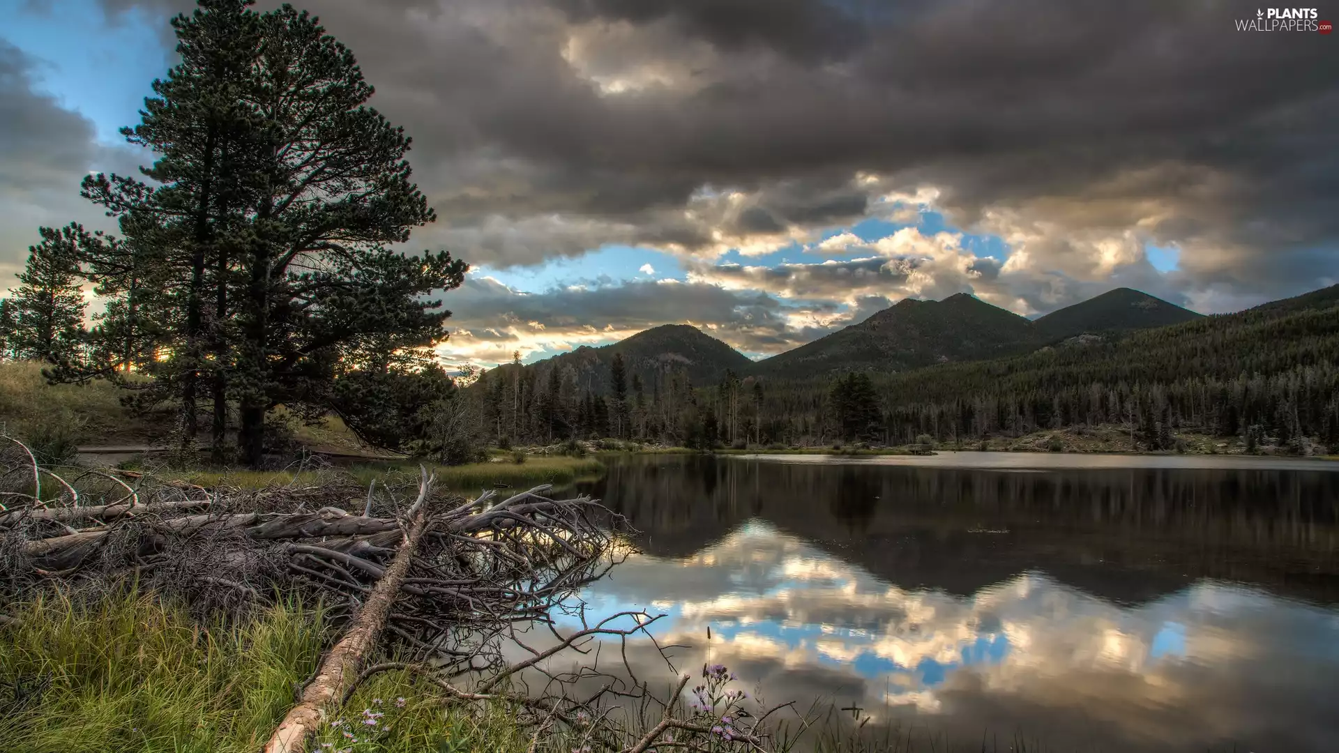 fallen, River, viewes, clouds, Mountains, trees, grass