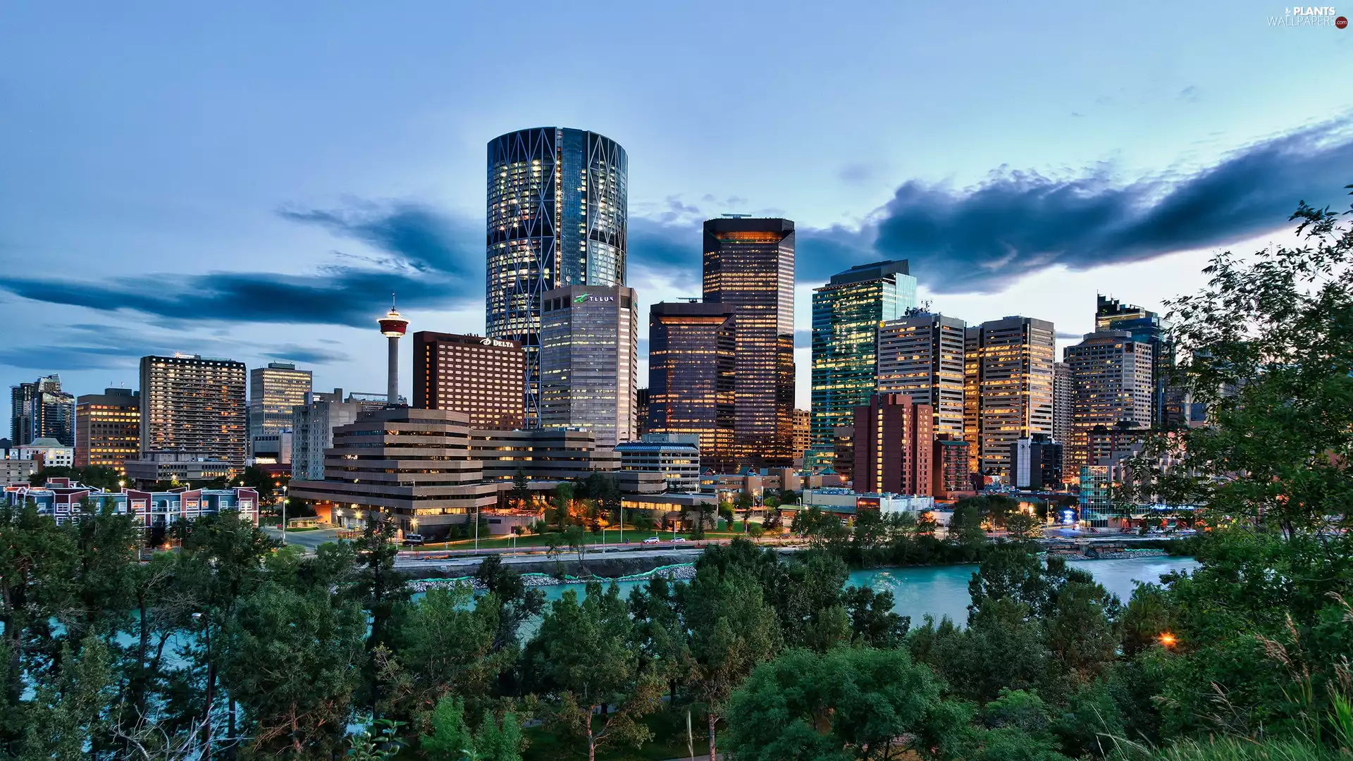 town, River, viewes, Bow, trees, panorama, Calgary, clouds