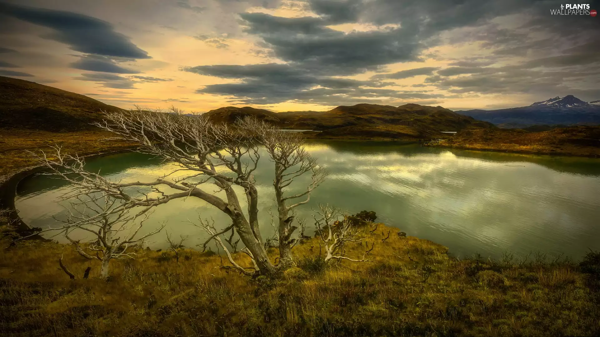 autumn, clouds, viewes, lake, trees