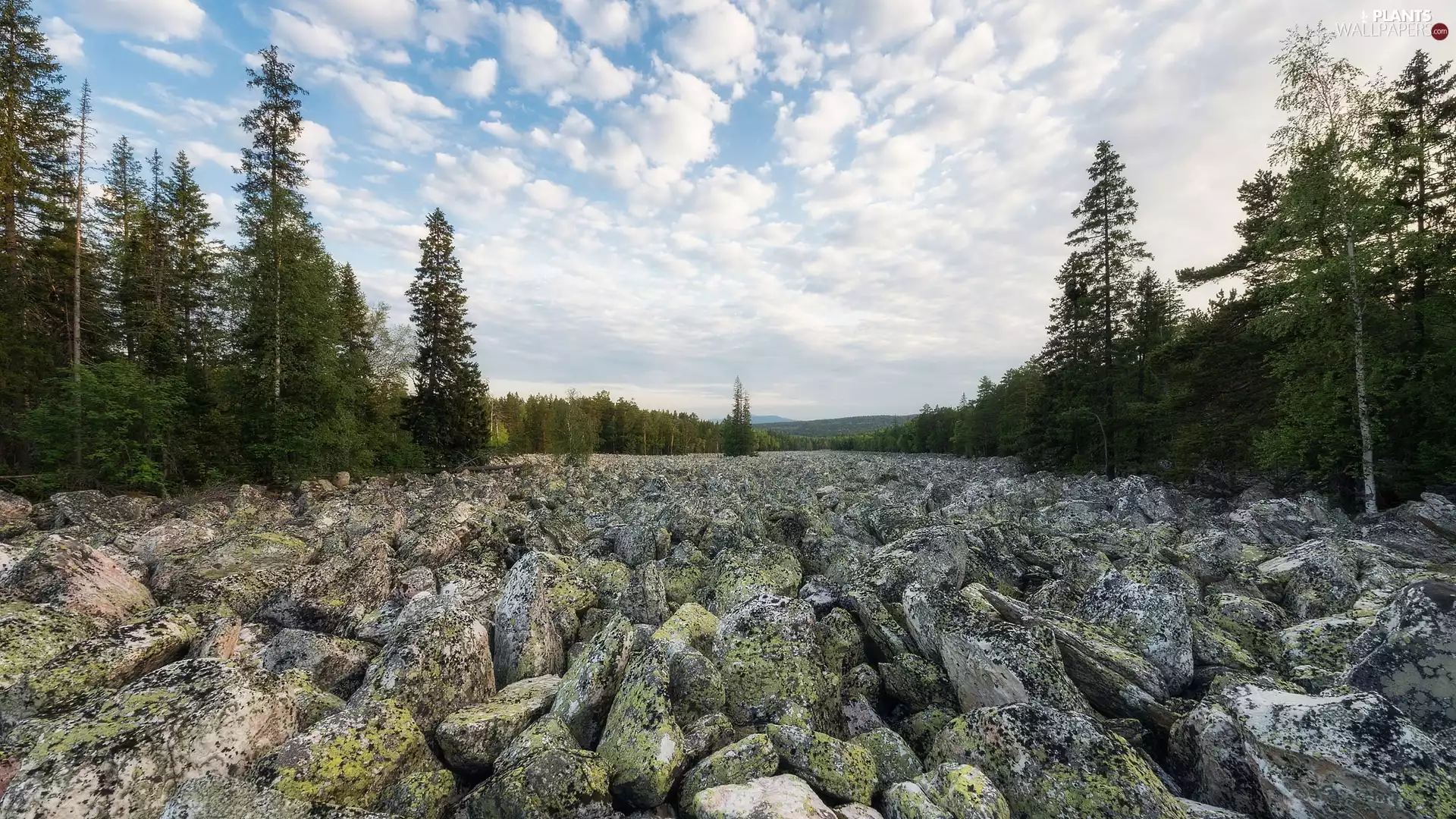 Sky, clouds, viewes, Stones, trees