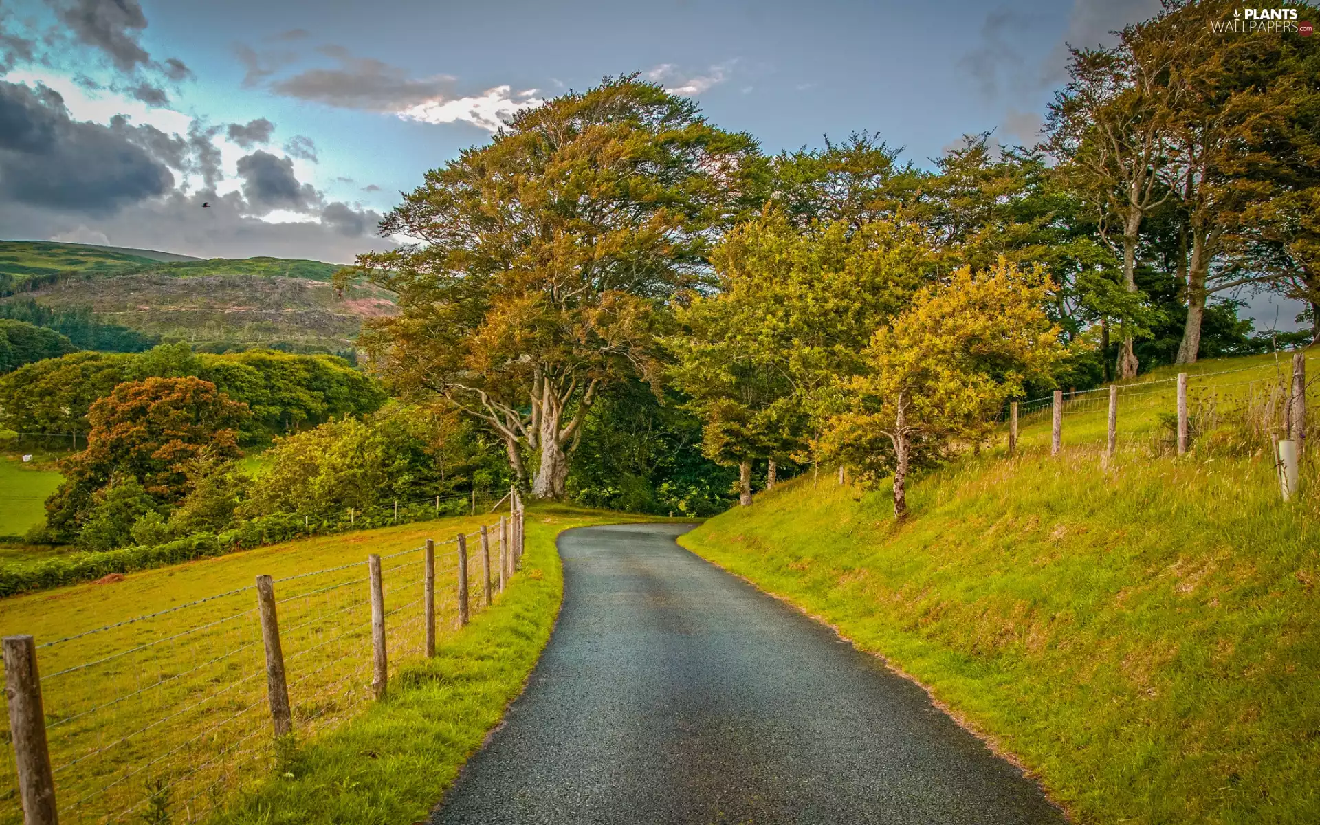clouds, trees, fence, viewes, medows, autumn, Way, The Hills