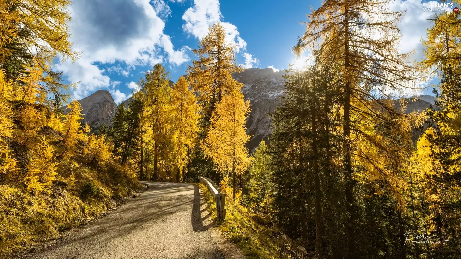 trees, Mountains, autumn, clouds, viewes, Way