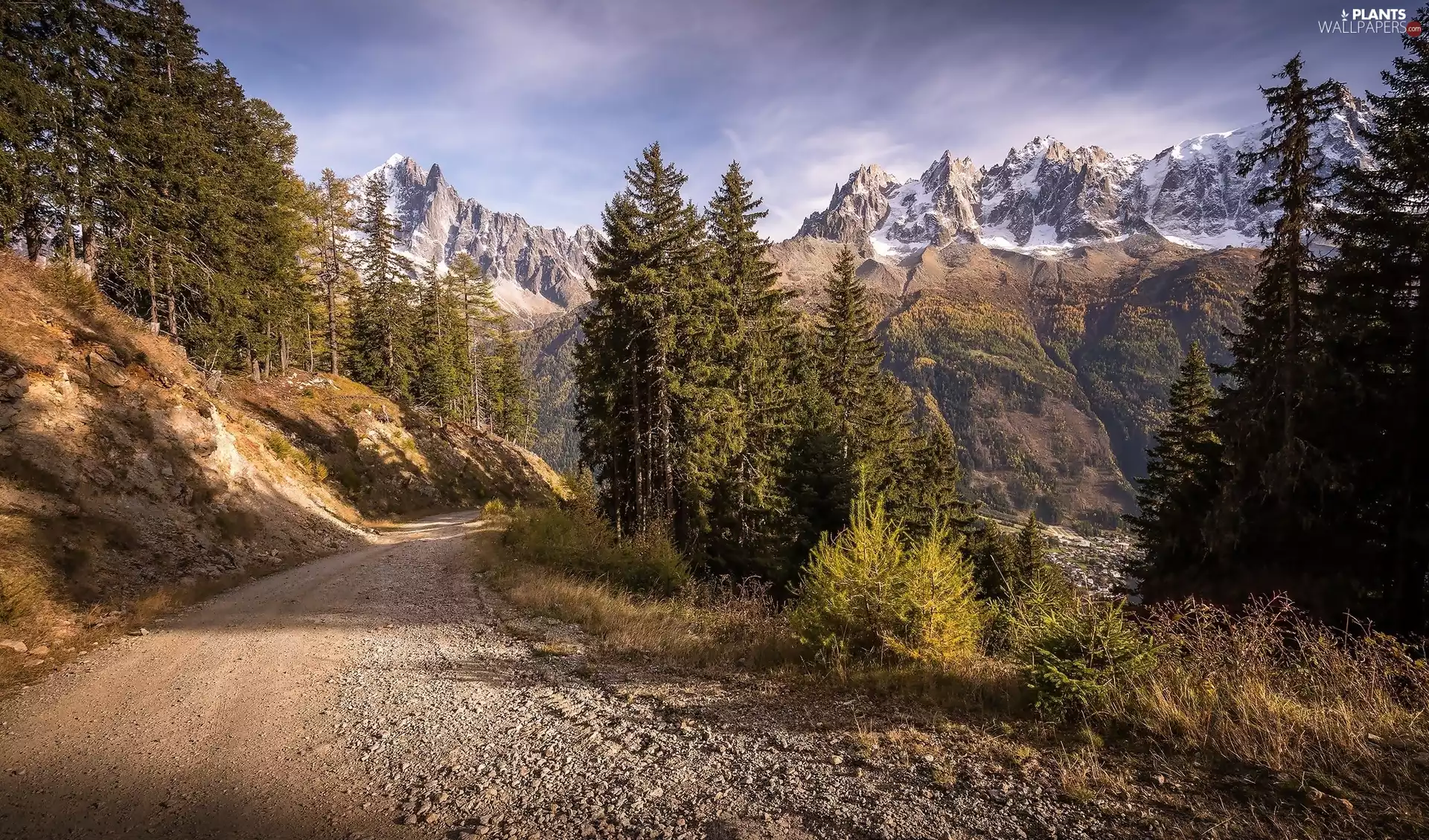 viewes, clouds, Way, trees, Mountains