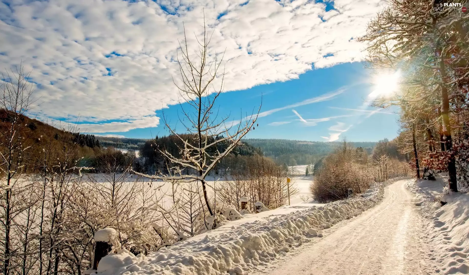 trees, winter, sun, clouds, viewes, Way