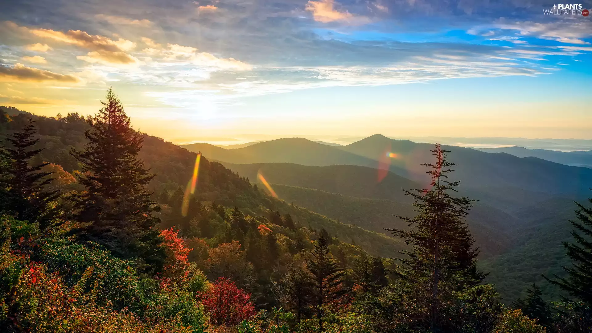 Sunrise, Mountains, viewes, clouds, trees, woods